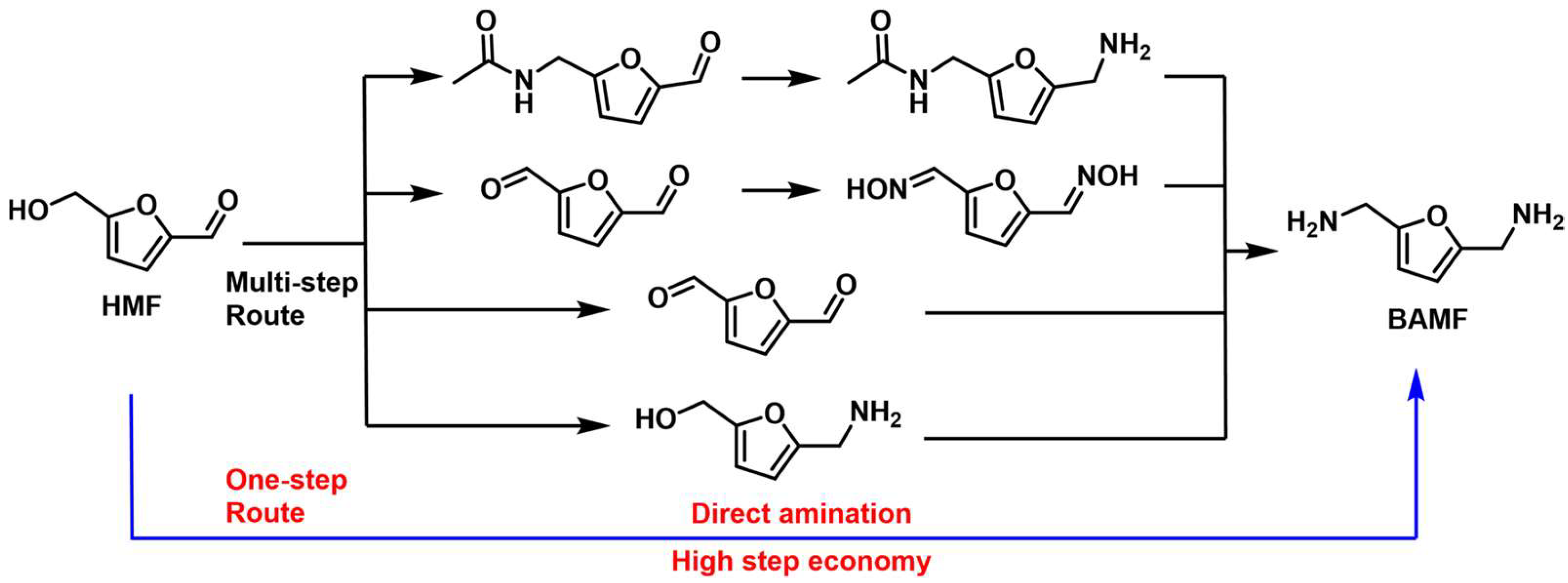 Catalysts 13 00528 g012