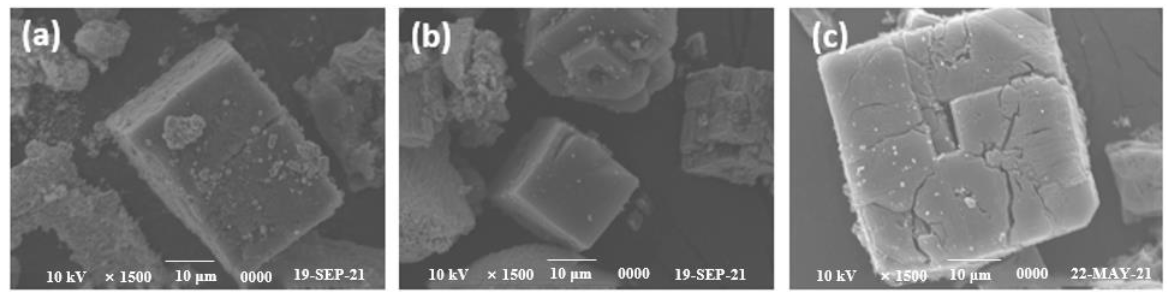 Catalysts 13 00532 g006