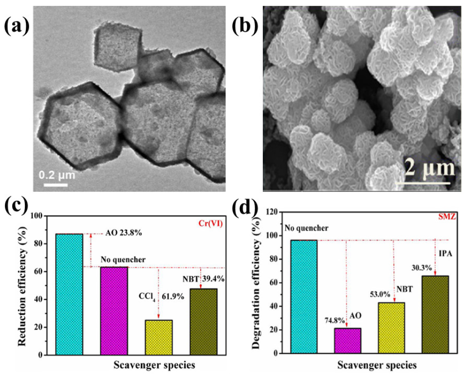 Catalysts 13 00544 g002 Catalysts 13 00544 g002
