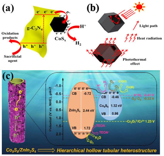 Catalysts | Free Full-Text | Recent Developments and Perspectives 