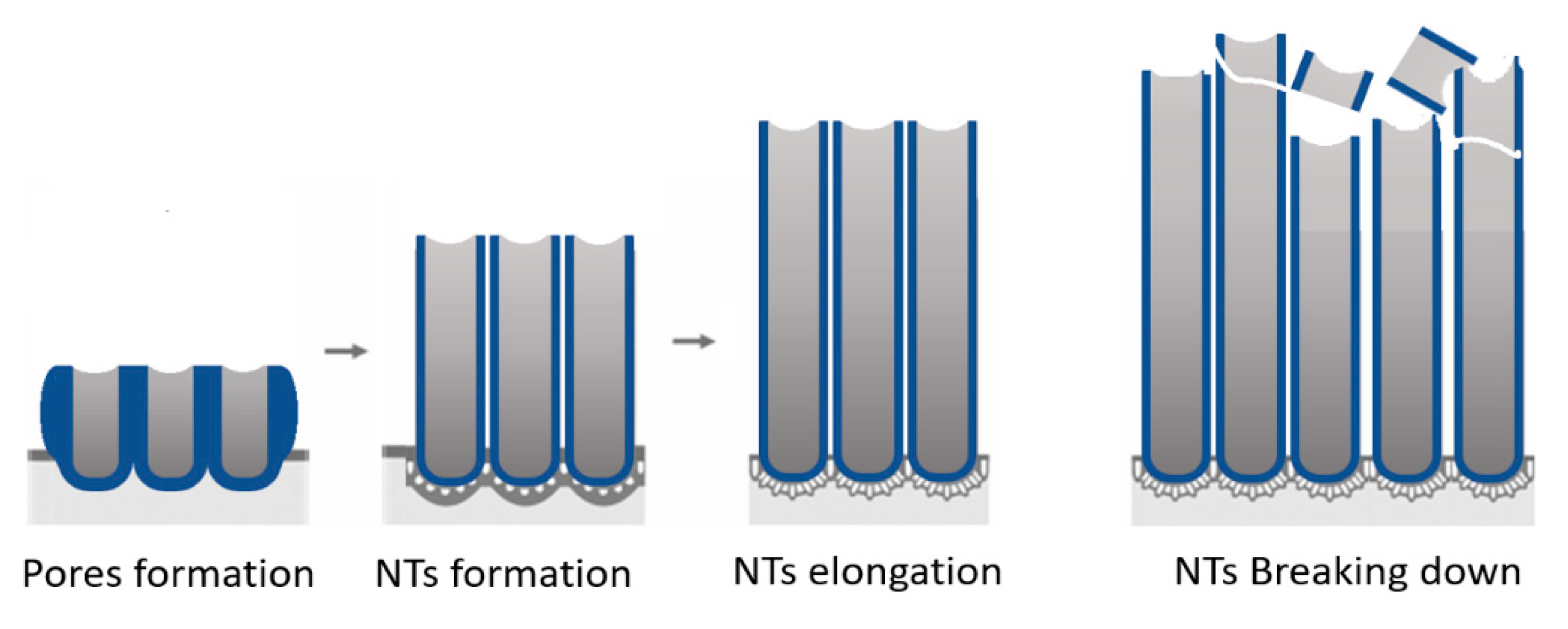 Catalysts 13 00558 sch001 Catalysts 13 00558 sch001