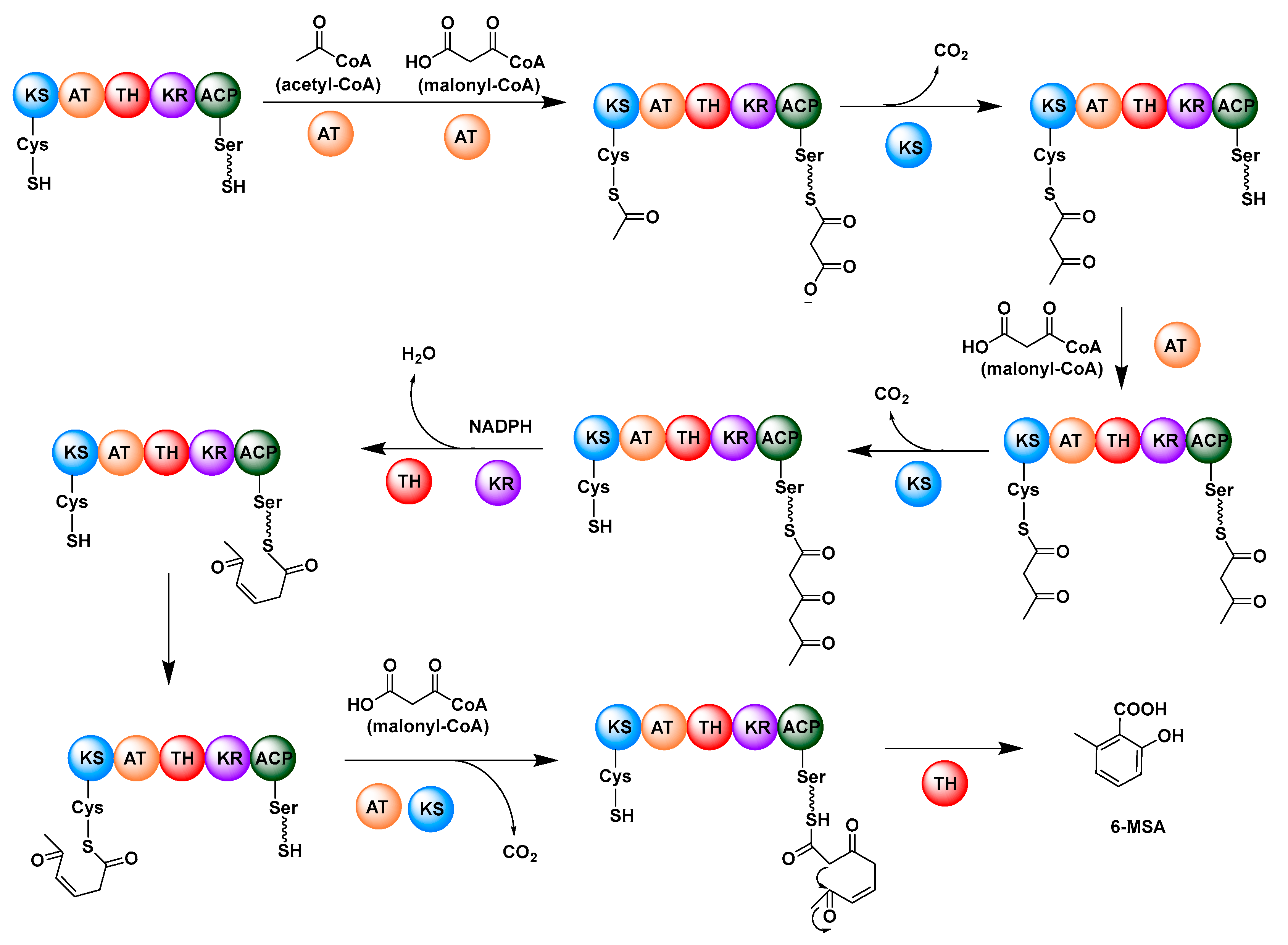 Catalysts 13 00581 g002