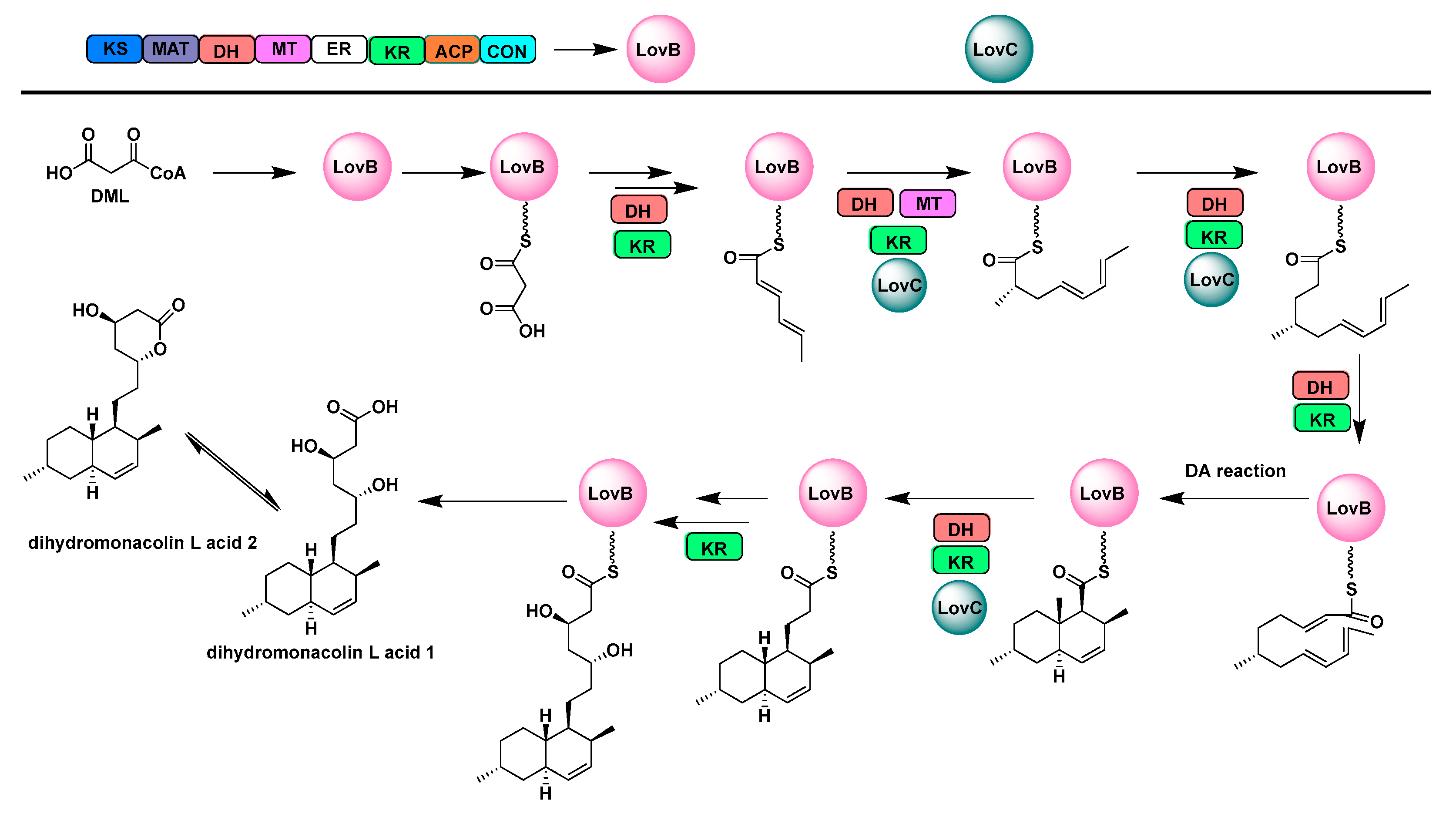 Catalysts 13 00581 g003