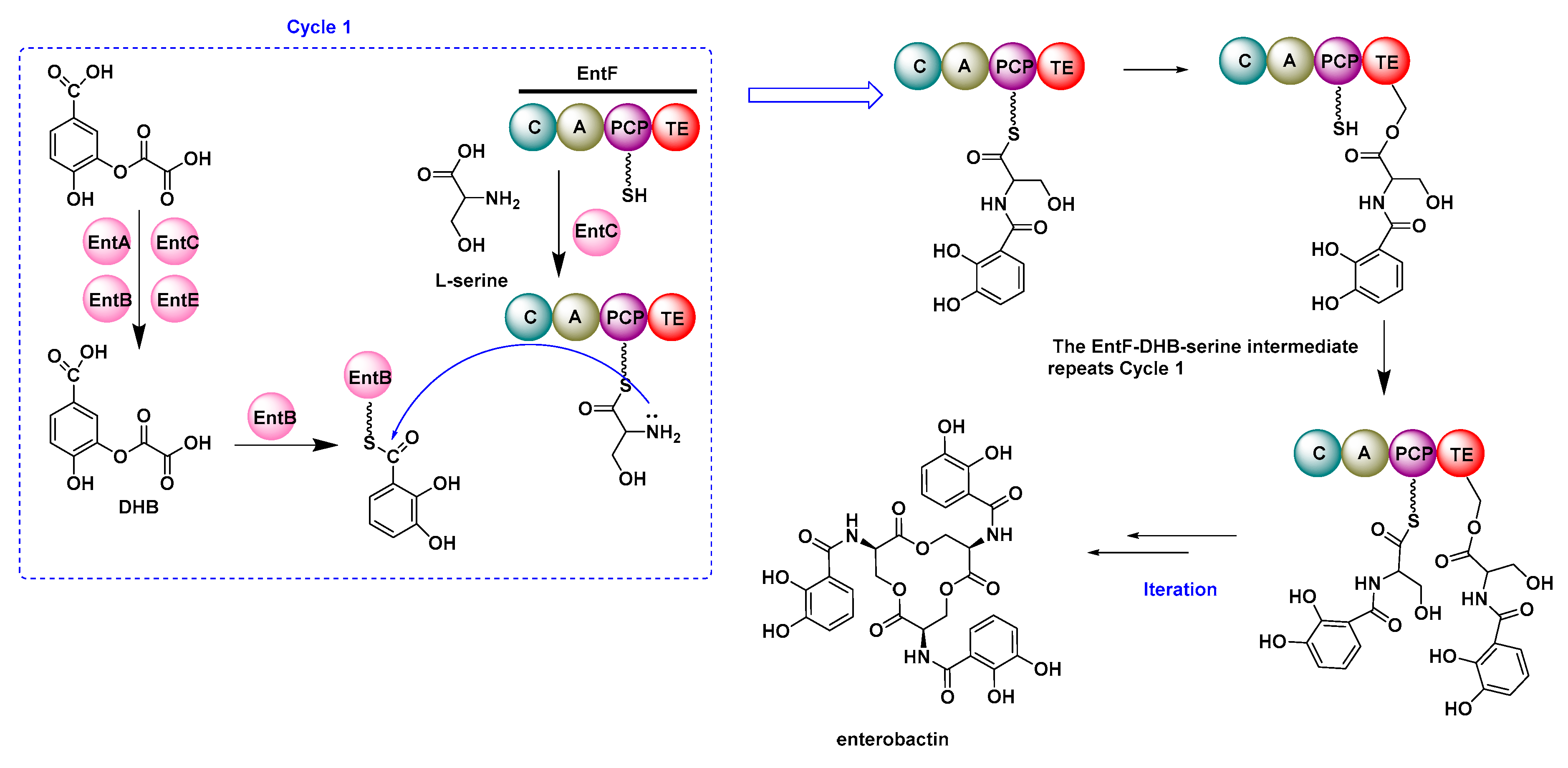 Catalysts 13 00581 g004