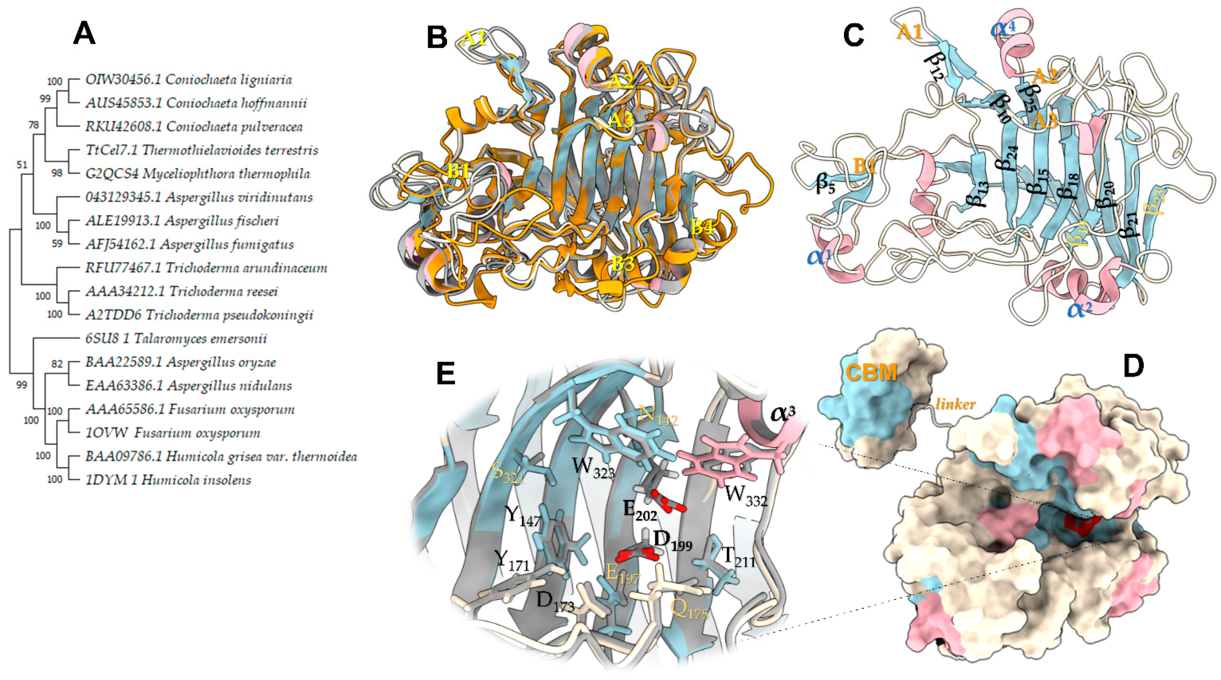 Catalysts 13 00582 g002 Catalysts 13 00582 g002