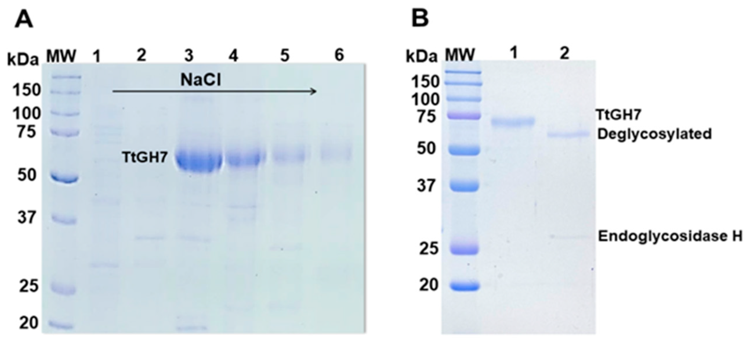 Catalysts 13 00582 g003 Catalysts 13 00582 g003