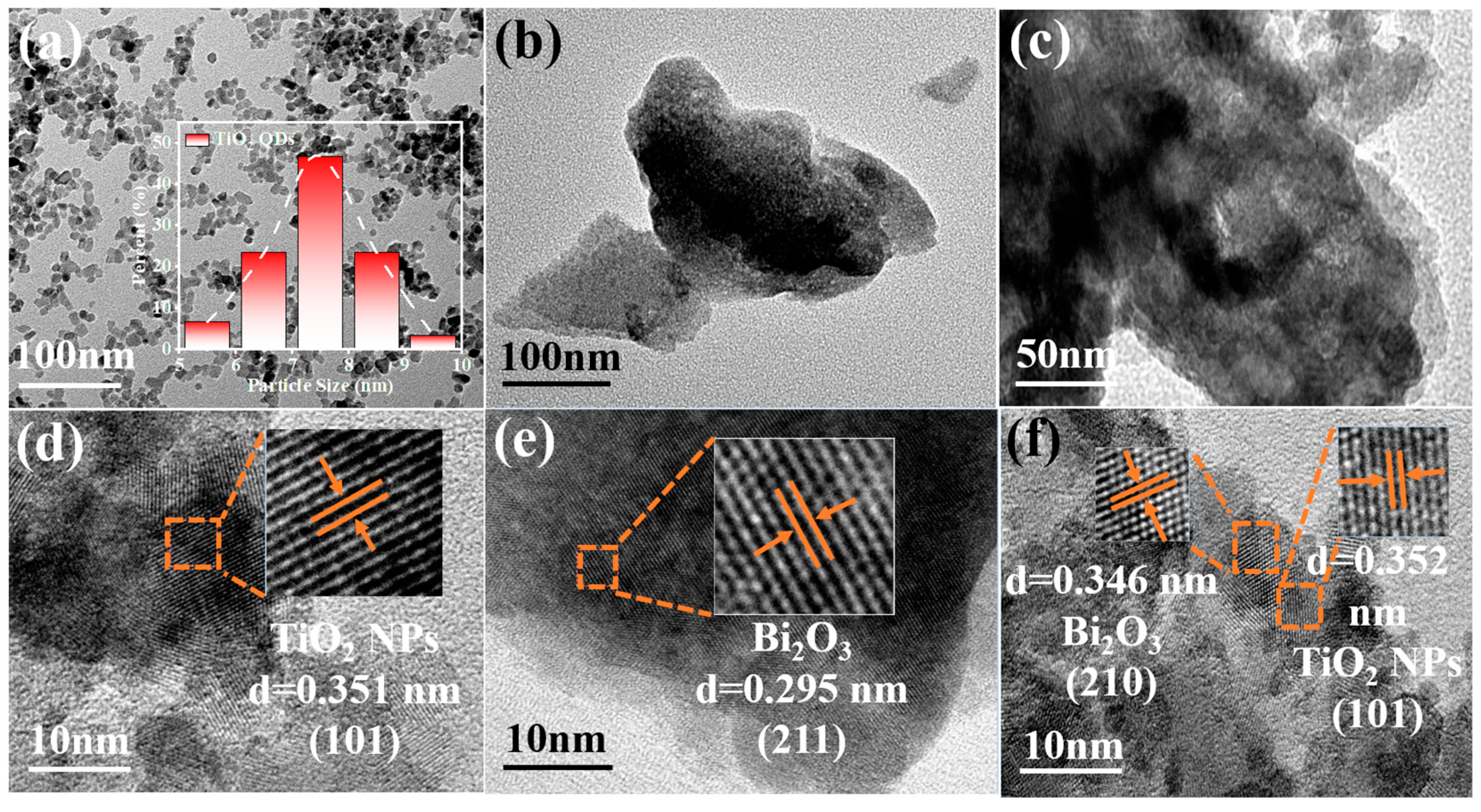 Catalysts 13 00583 g004