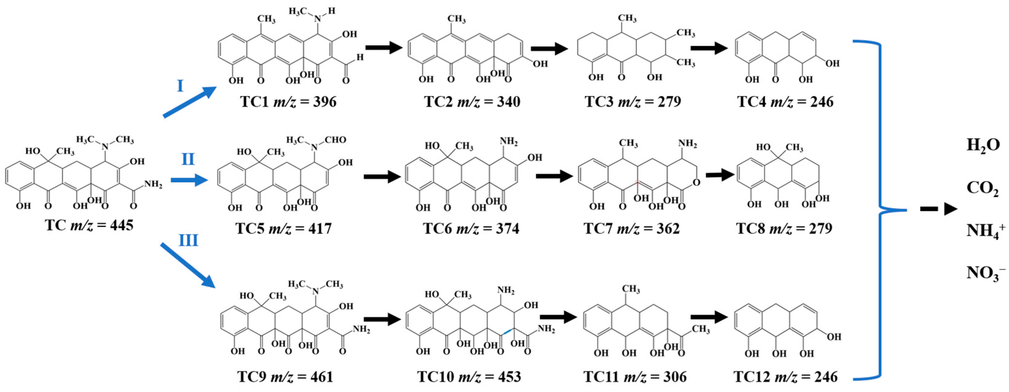 Catalysts 13 00583 g009