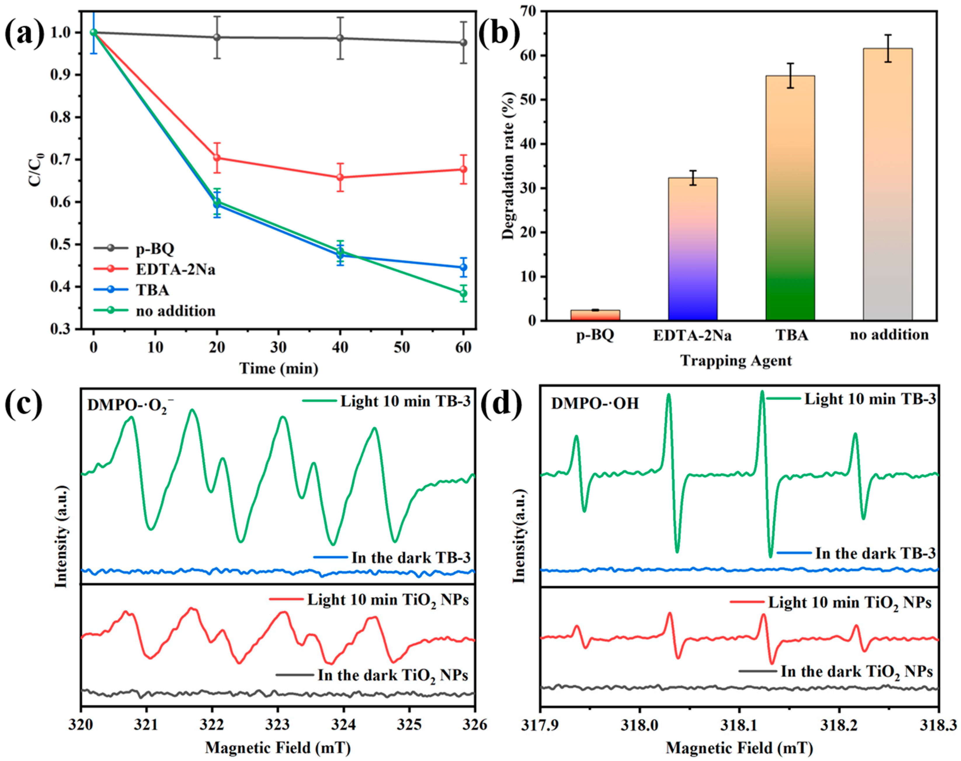 Catalysts 13 00583 g012