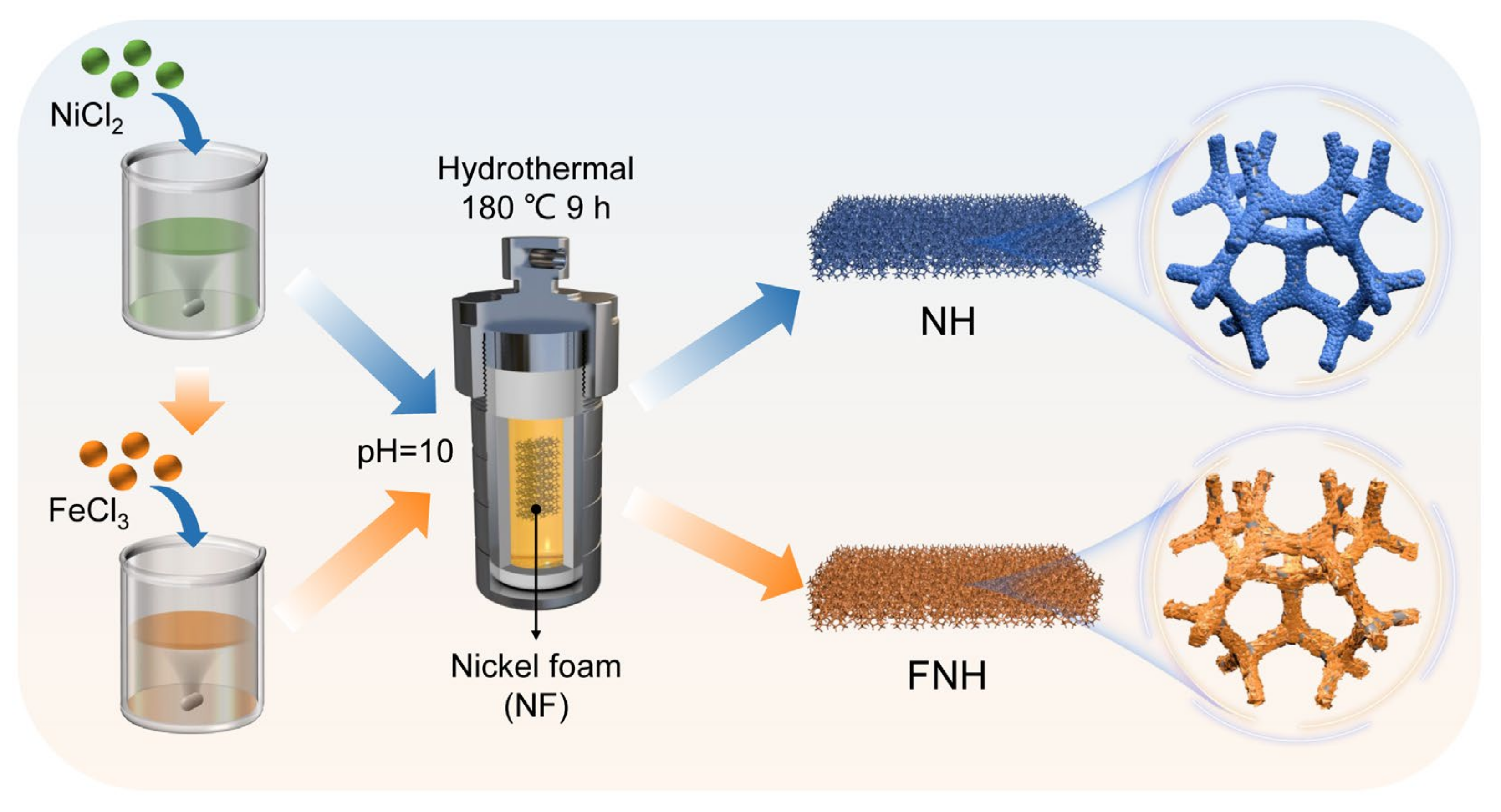 Catalysts 13 00586 g001 Catalysts 13 00586 g001