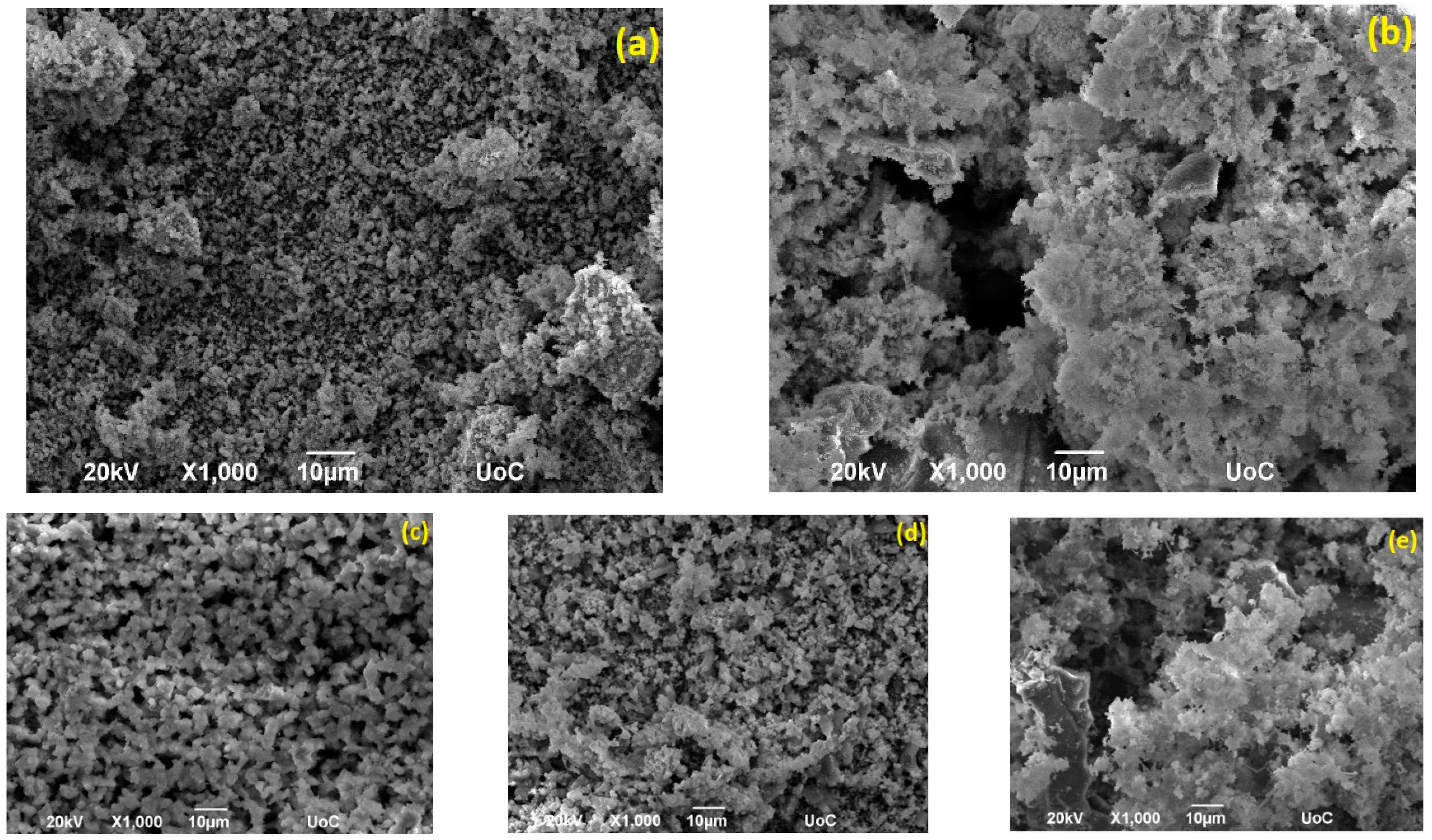 Catalysts 13 00596 g002 Catalysts 13 00596 g002