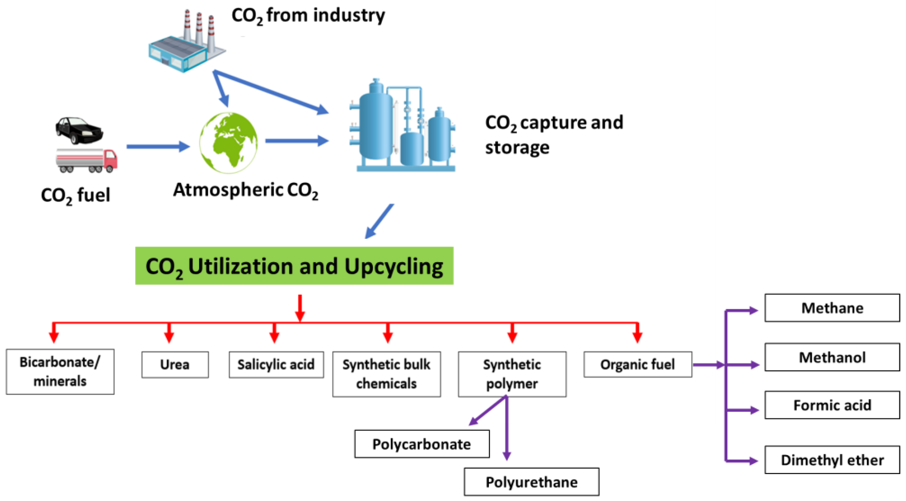 Catalysts 13 00611 g006