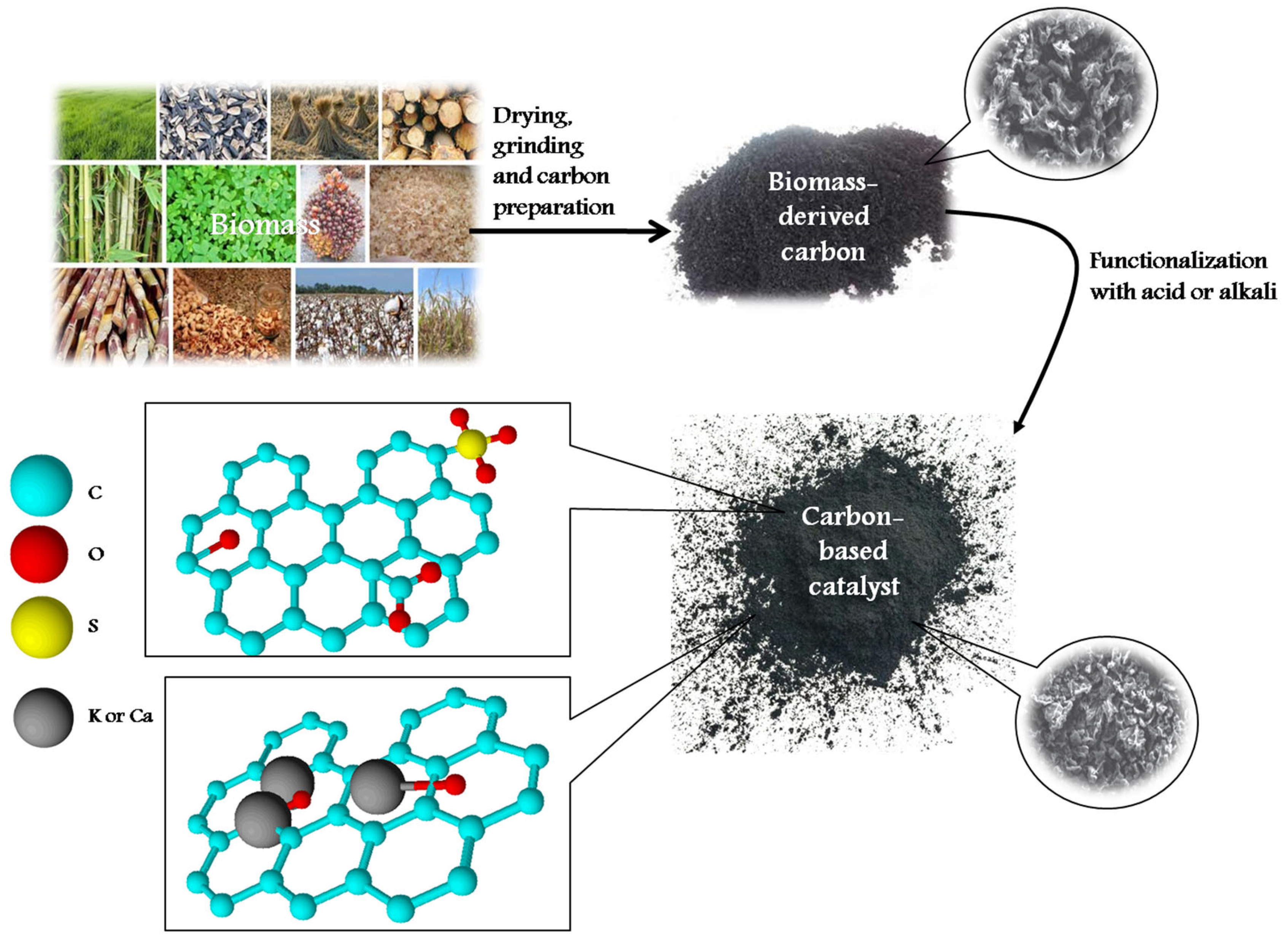 Catalysts | Free Full-Text | Plant-Biomass-Derived Carbon 
