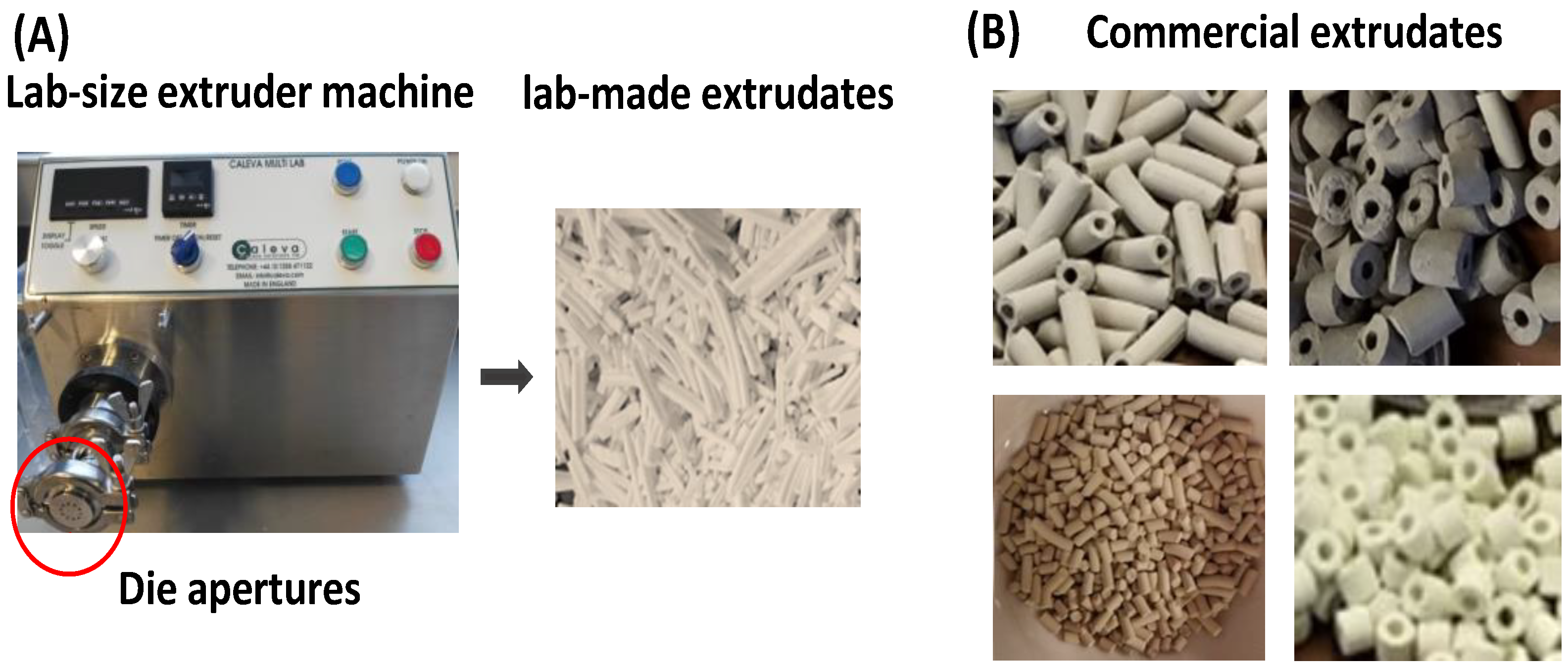 Catalysts 13 00656 g001