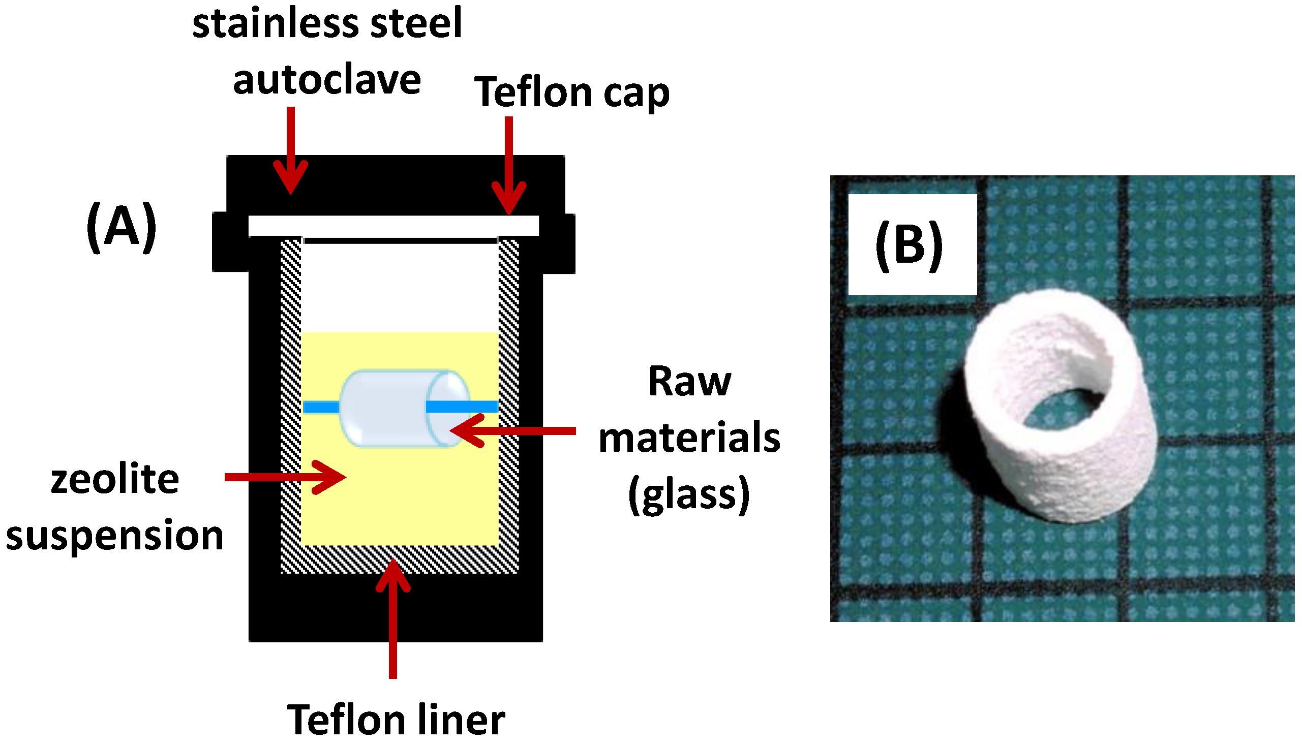 Catalysts 13 00656 g004