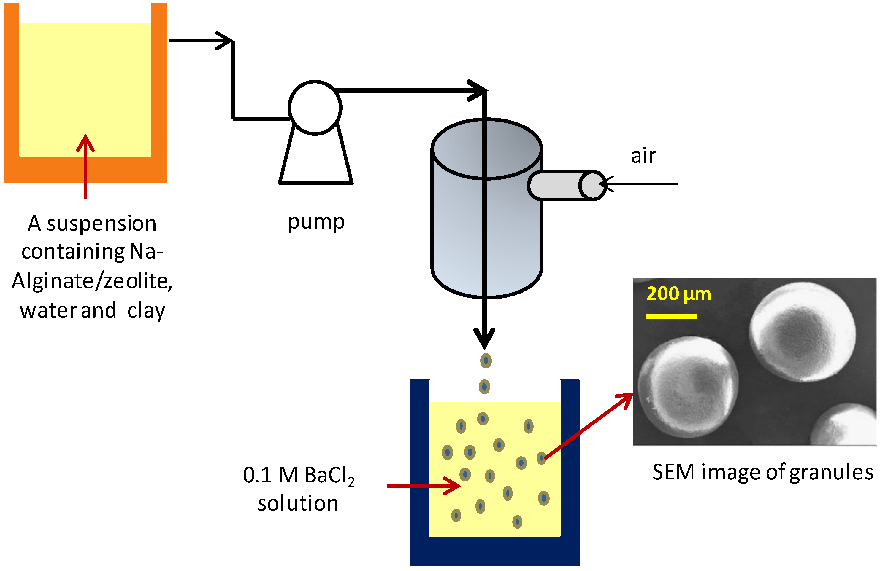Catalysts 13 00656 g005