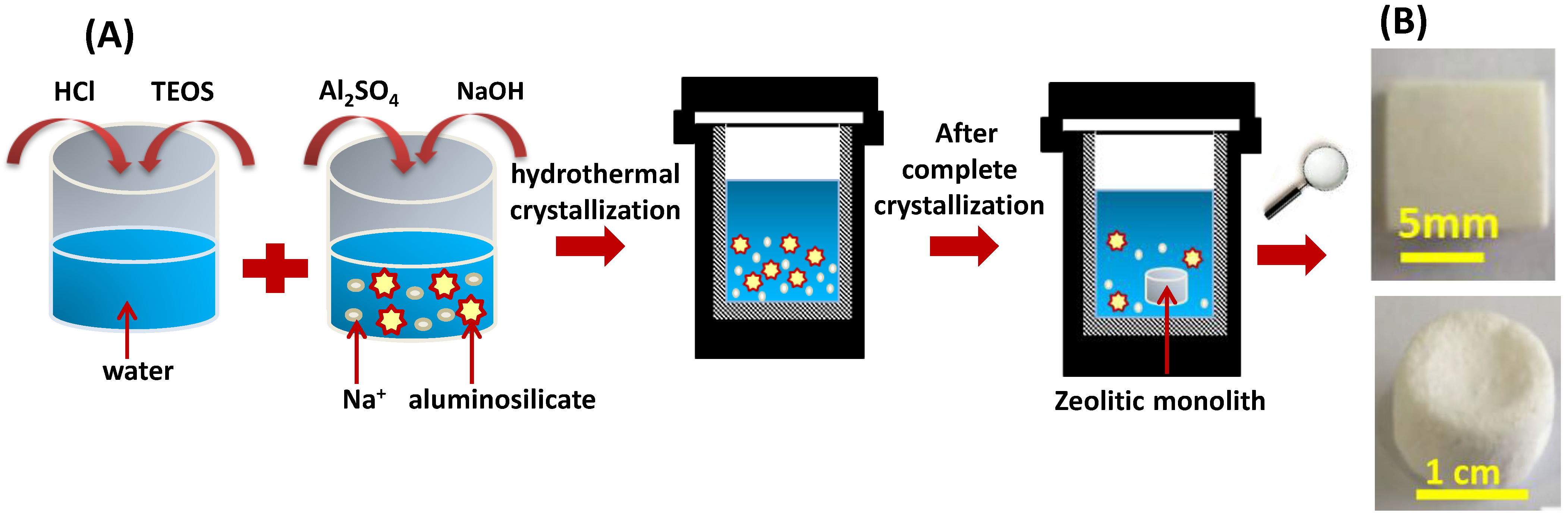 Catalysts 13 00656 g007