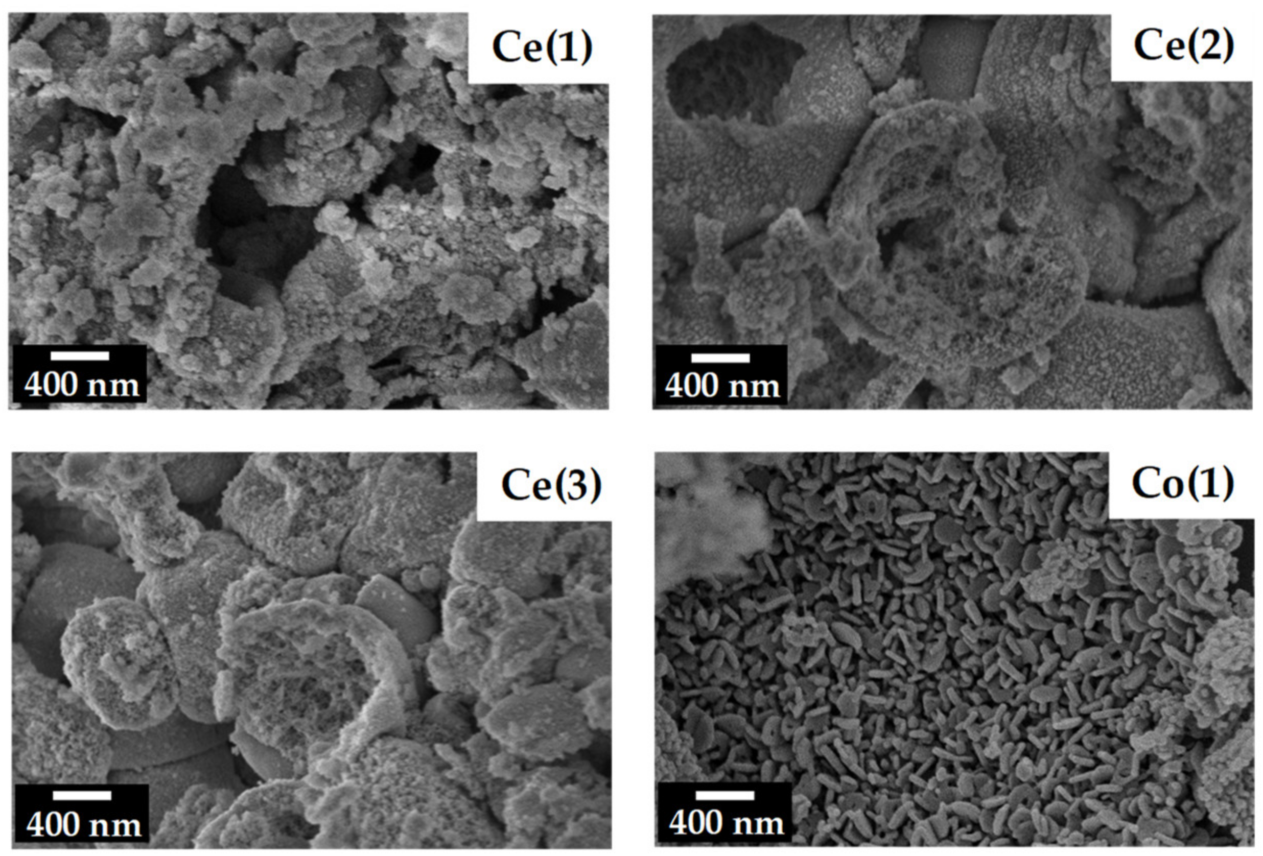 Catalysts 13 00660 g001 Catalysts 13 00660 g001