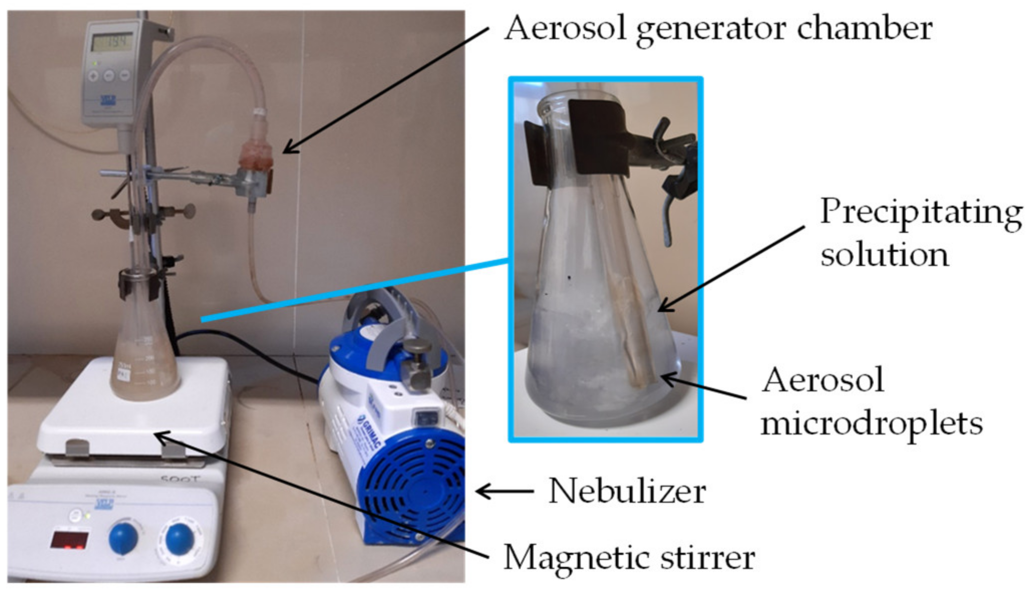 Catalysts 13 00660 g009 Catalysts 13 00660 g009