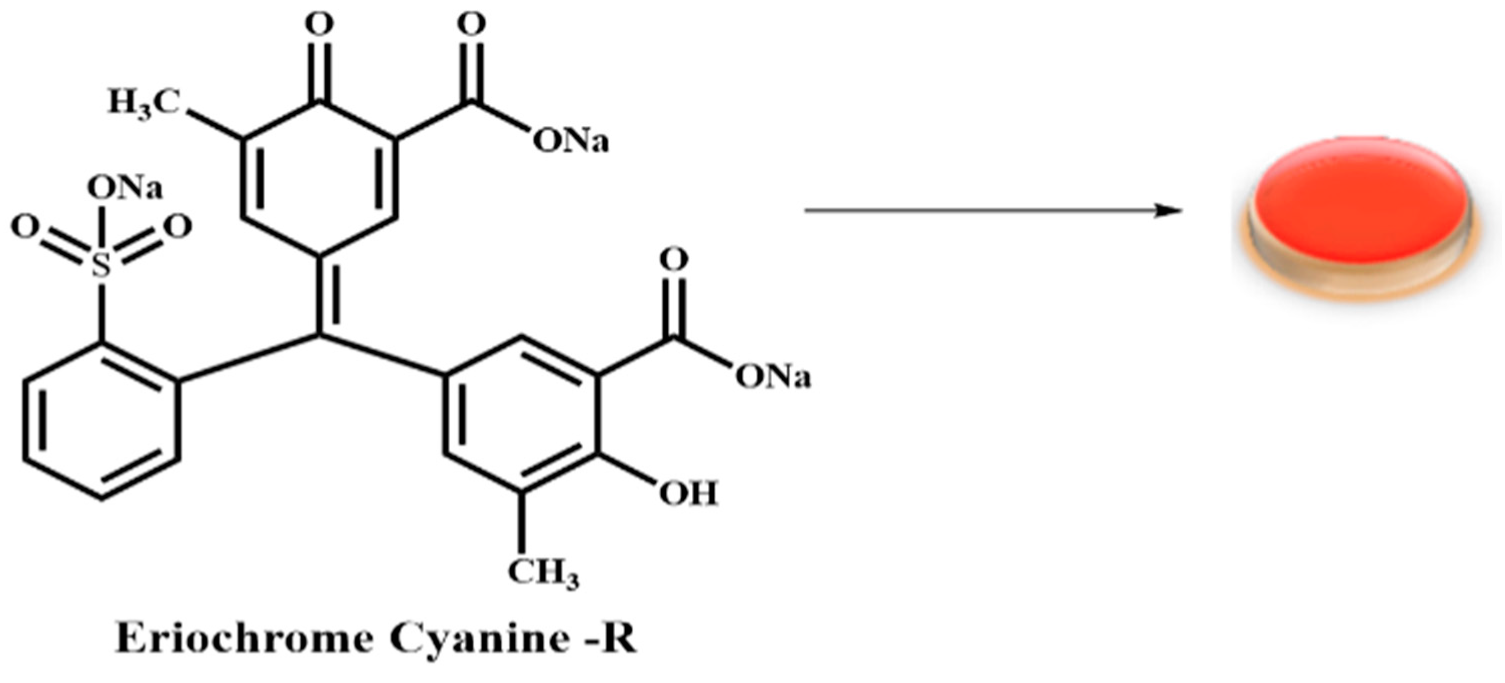 Catalysts 13 00666 g008b