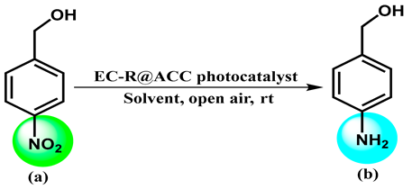 Catalysts 13 00666 i001