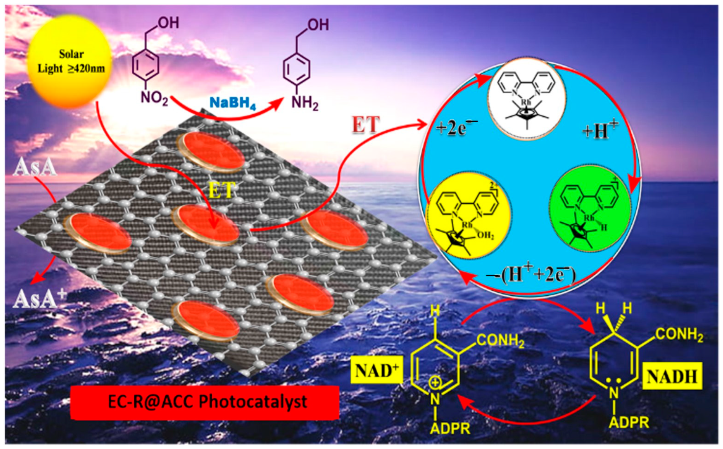 Catalysts 13 00666 sch001