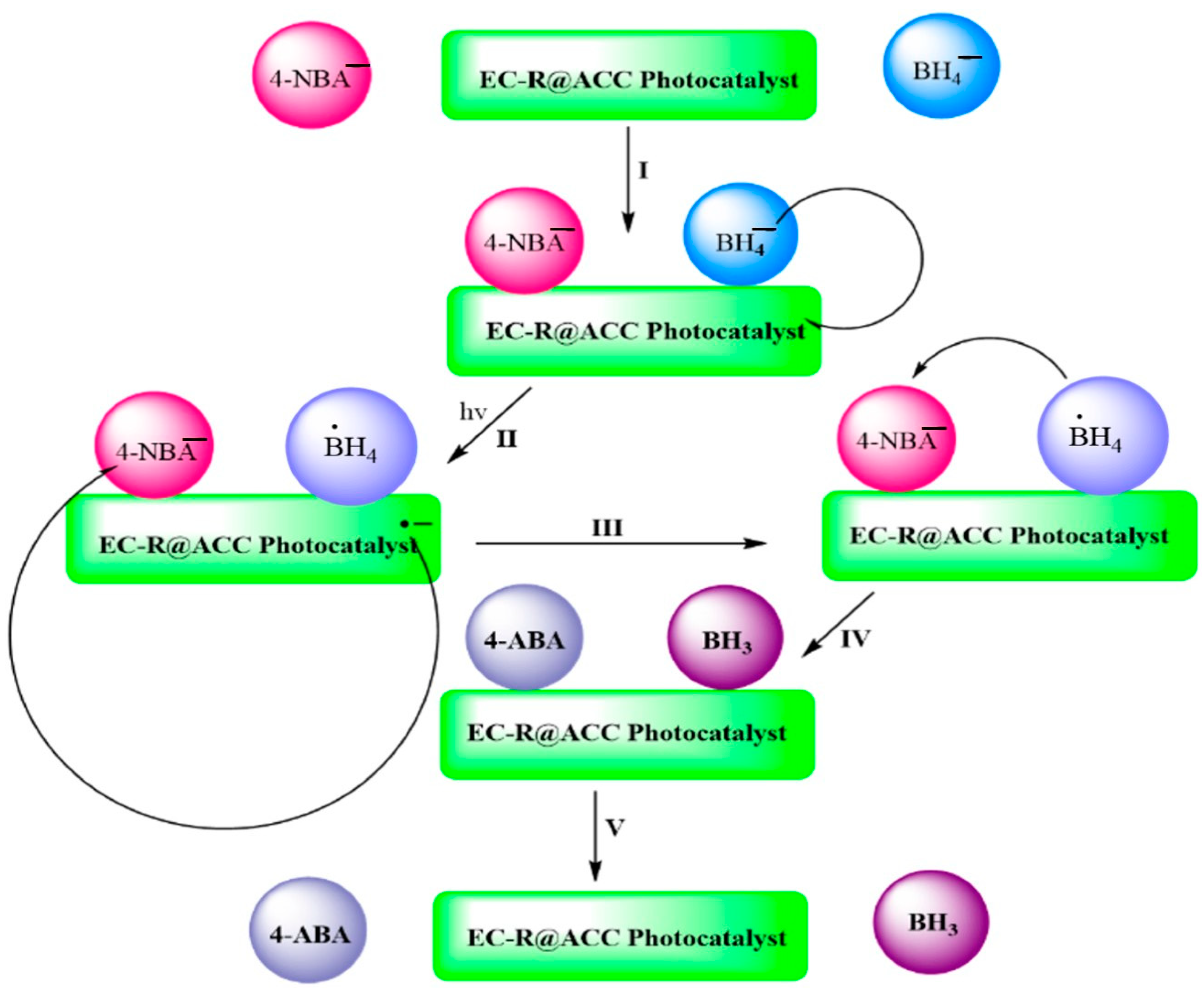 Catalysts 13 00666 sch002