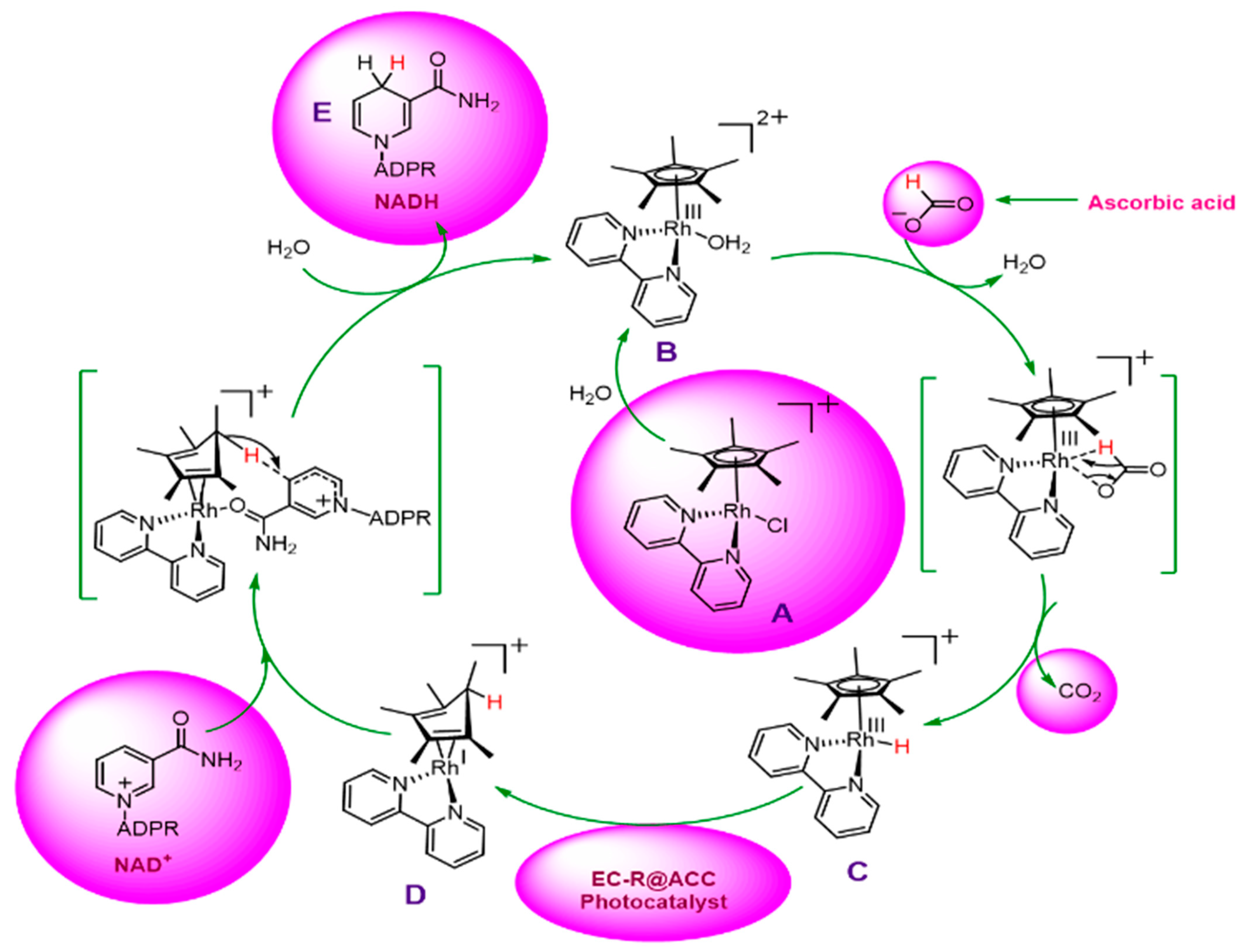 Catalysts 13 00666 sch004