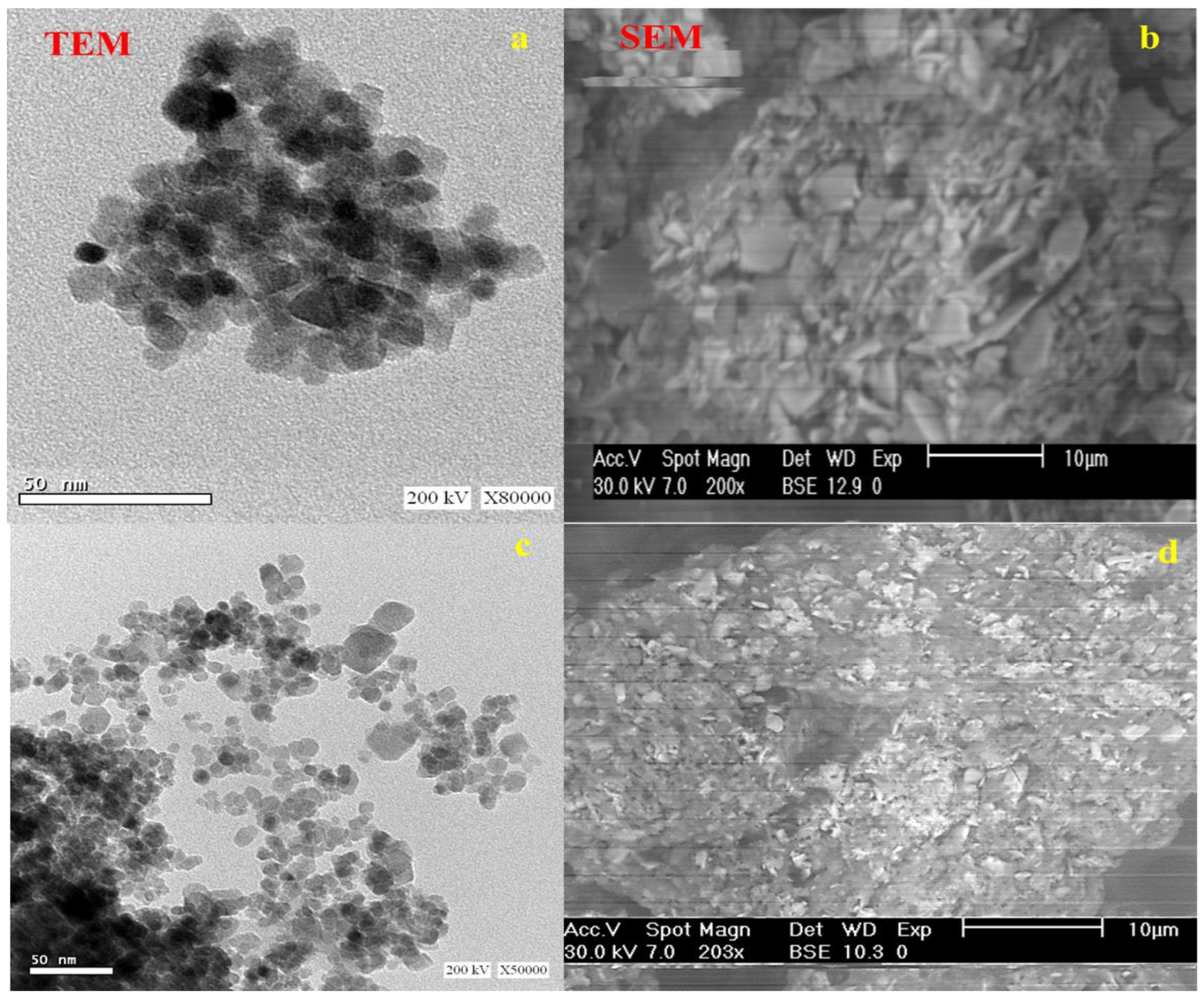 Catalysts 13 00672 g004