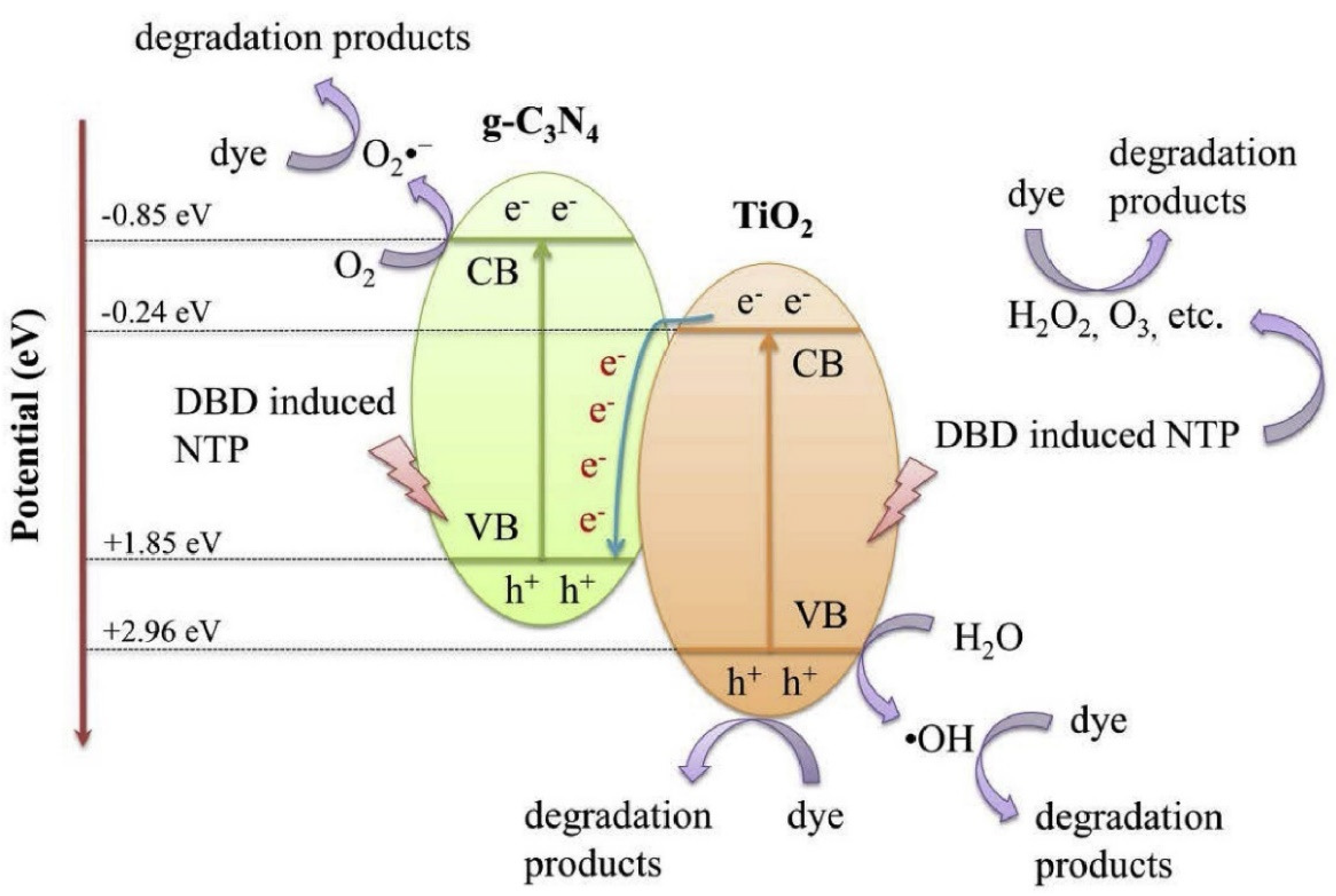 Catalysts 13 00685 g013