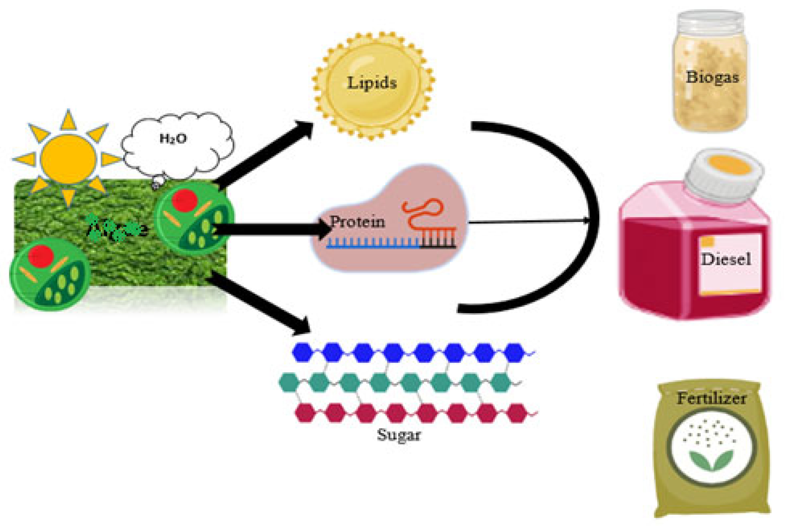 Catalysts 13 00687 g001