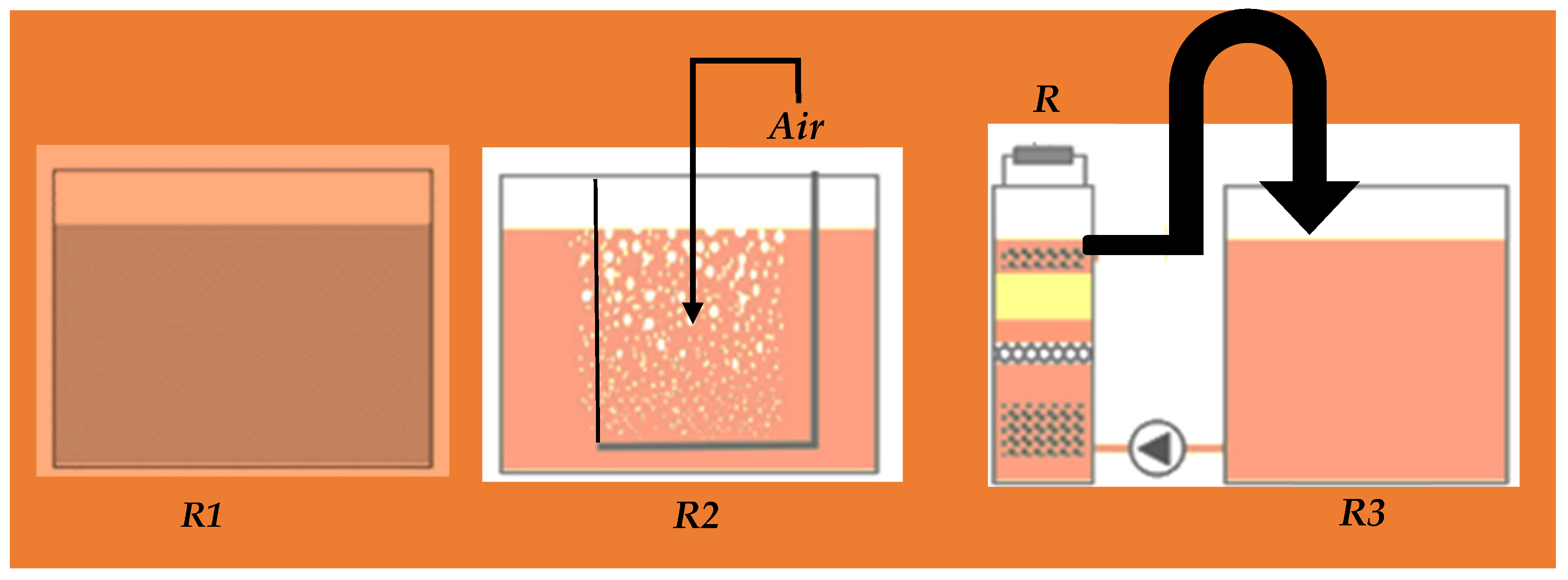 Catalysts 13 00687 g003