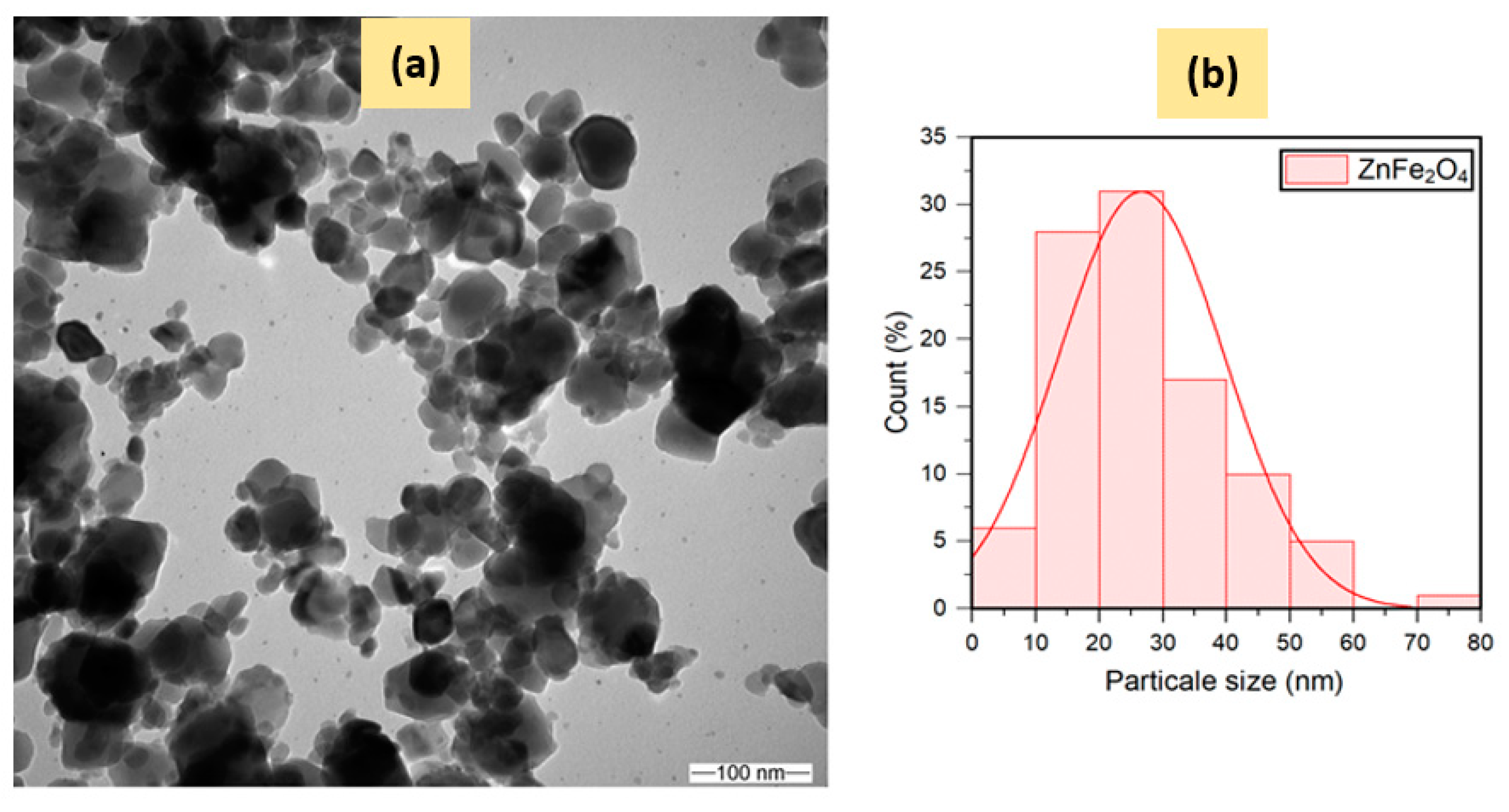 Catalysts 13 00692 g003