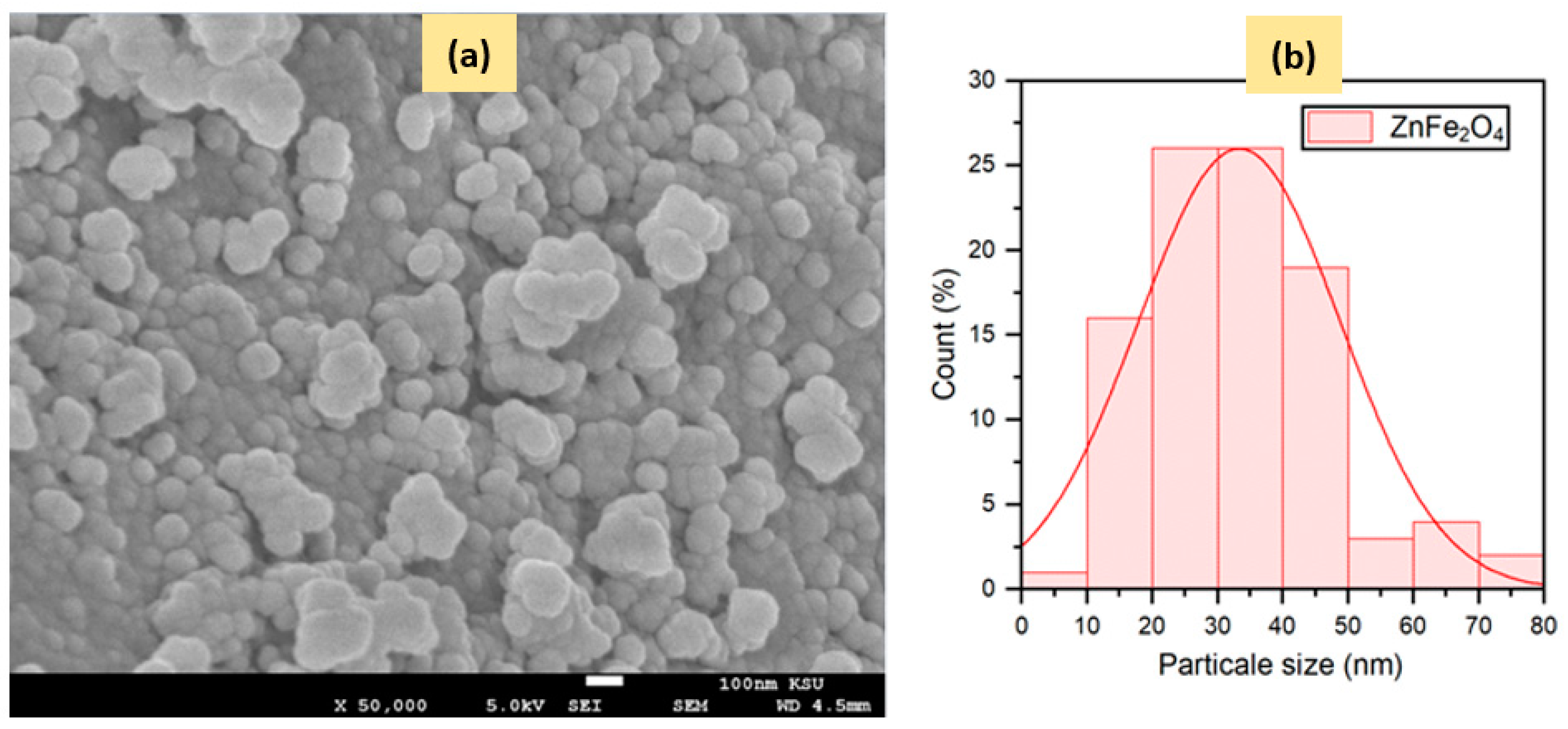 Catalysts 13 00692 g004