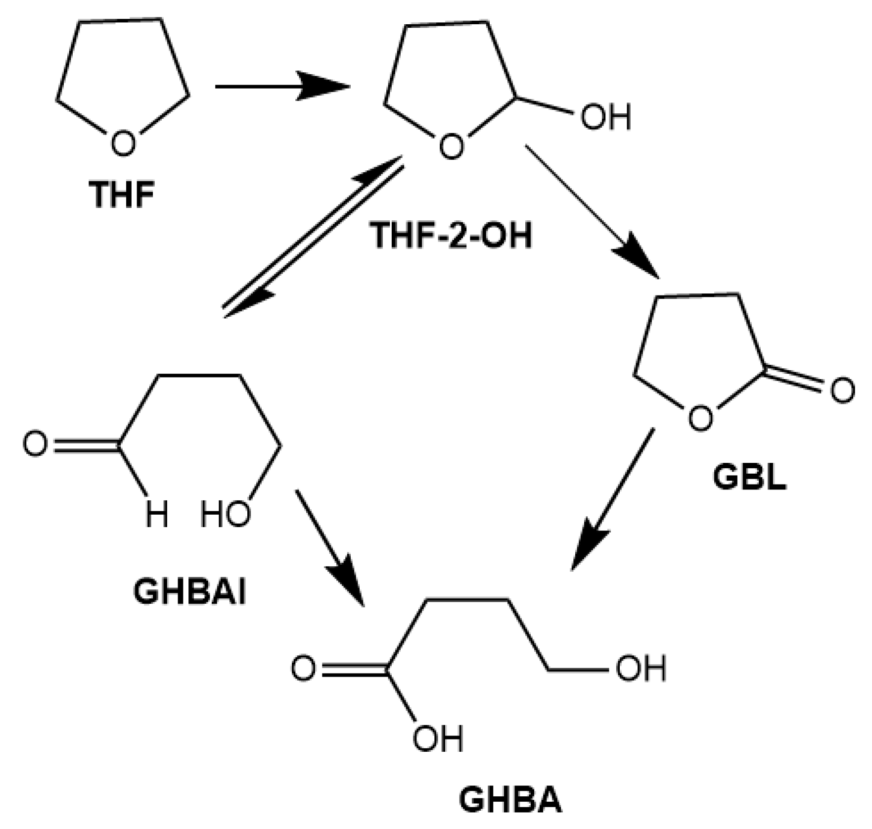 Catalysts 13 00692 g015