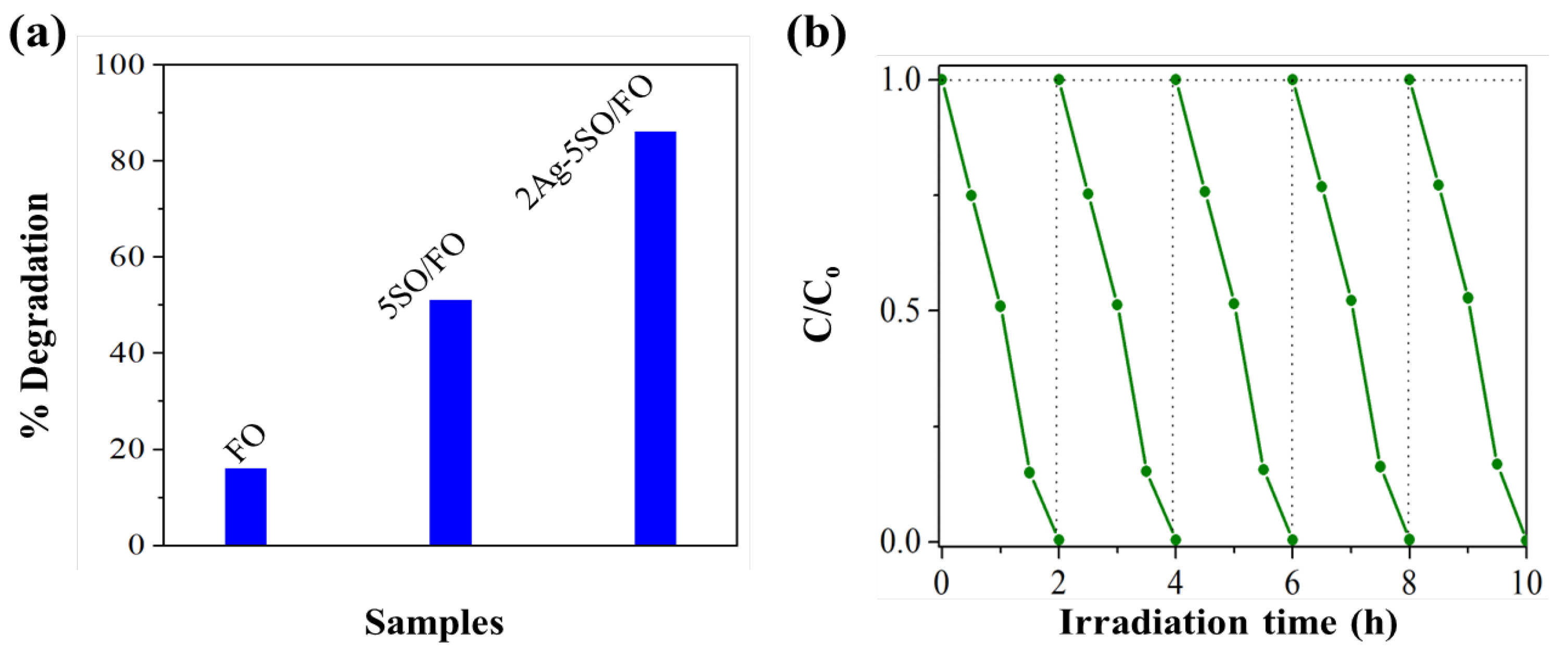 Catalysts 13 00696 g001