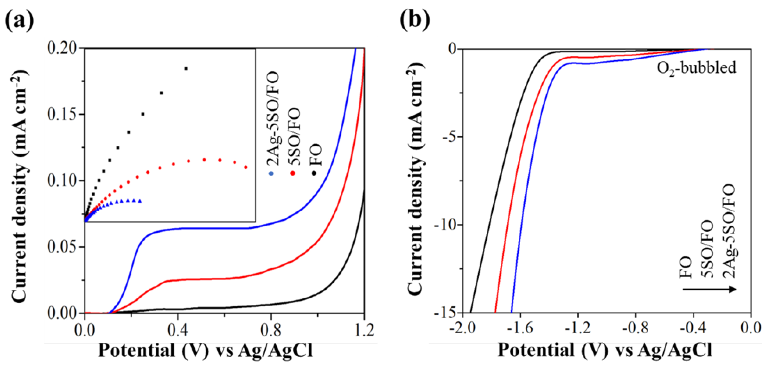 Catalysts 13 00696 g004