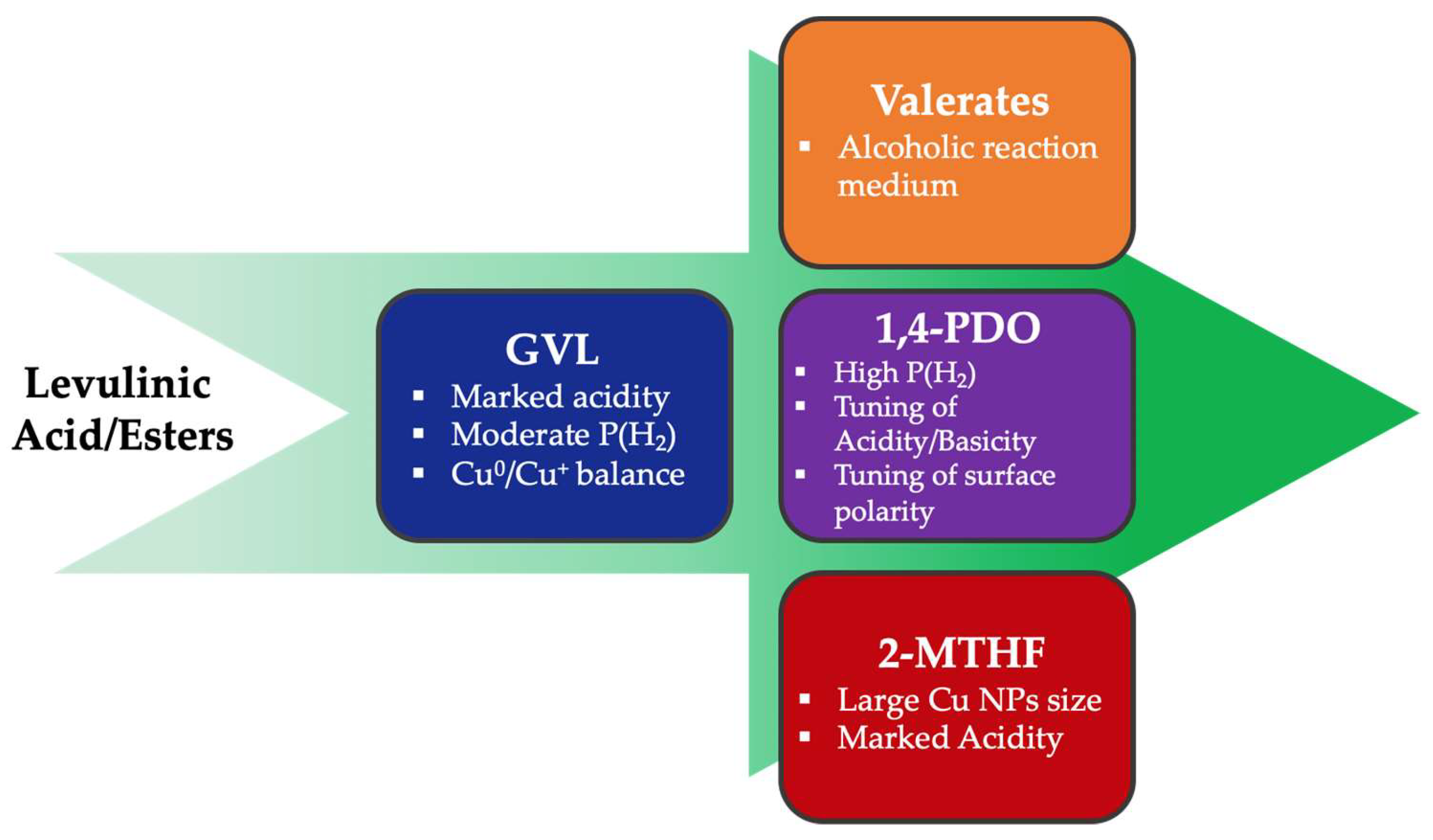 Catalysts 13 00697 g002