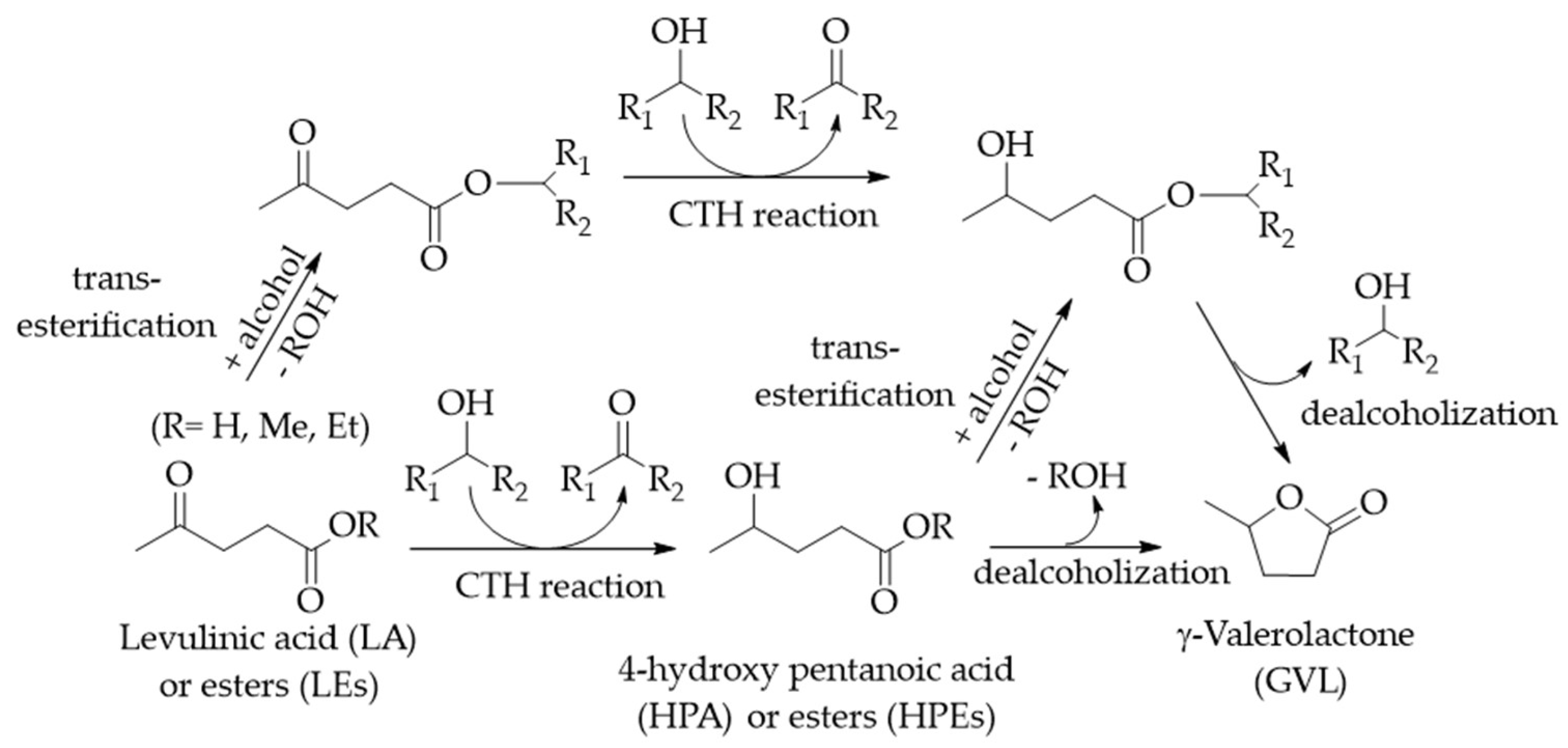 Catalysts 13 00697 sch003