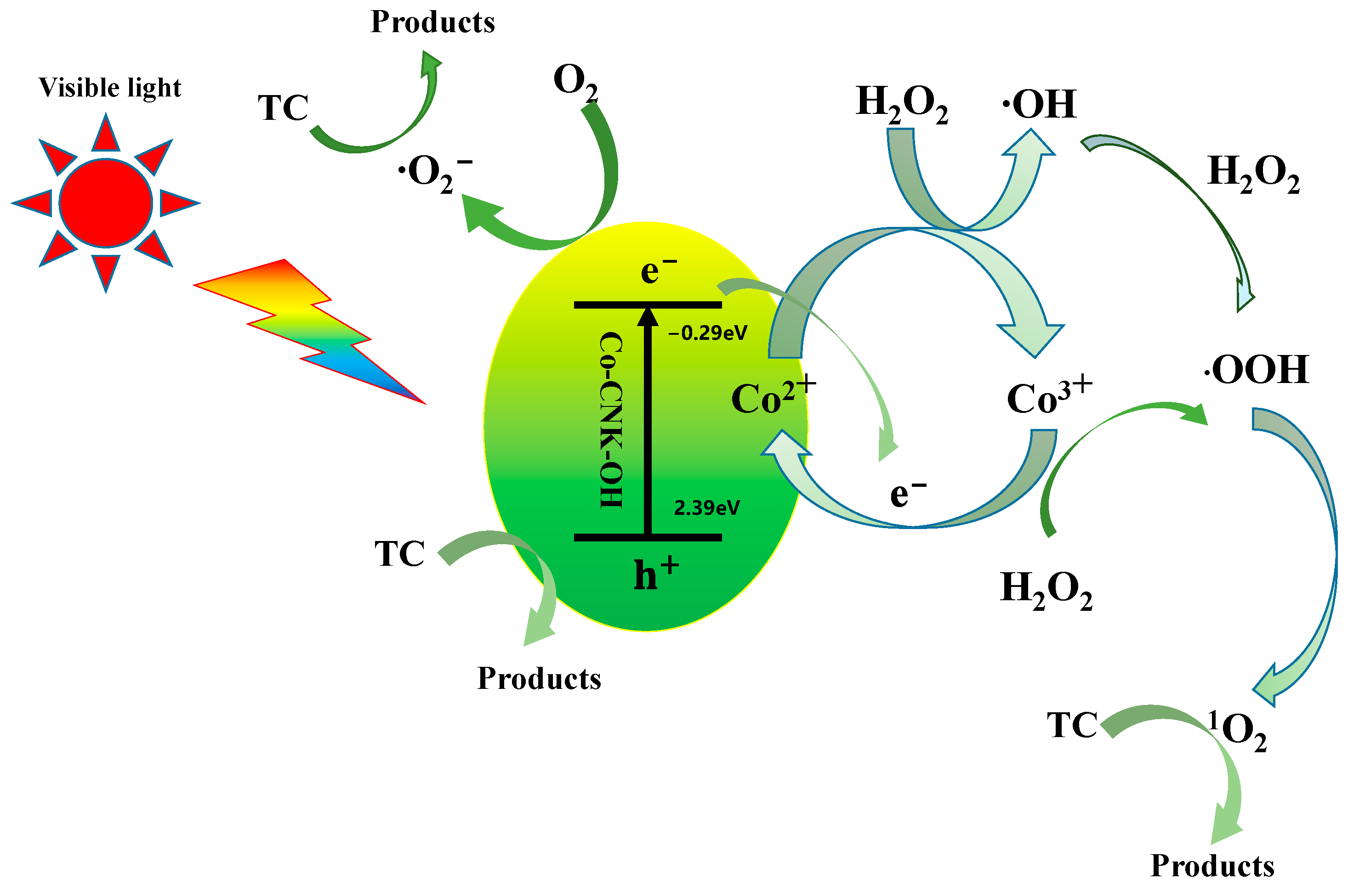 Catalysts | Free Full-Text | Preparation of Co-CNK-OH and Its ...