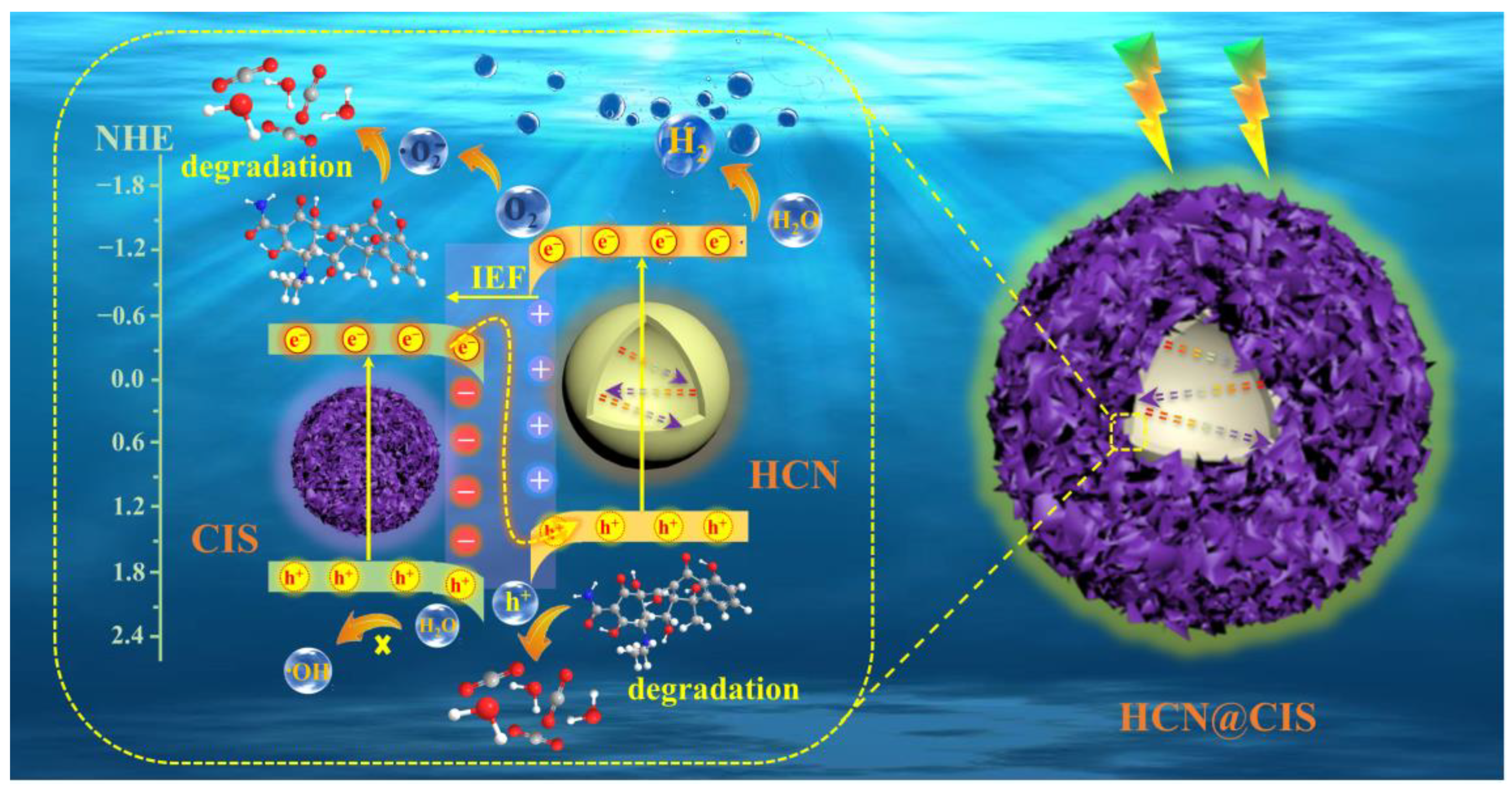 Catalysts 13 00723 sch001