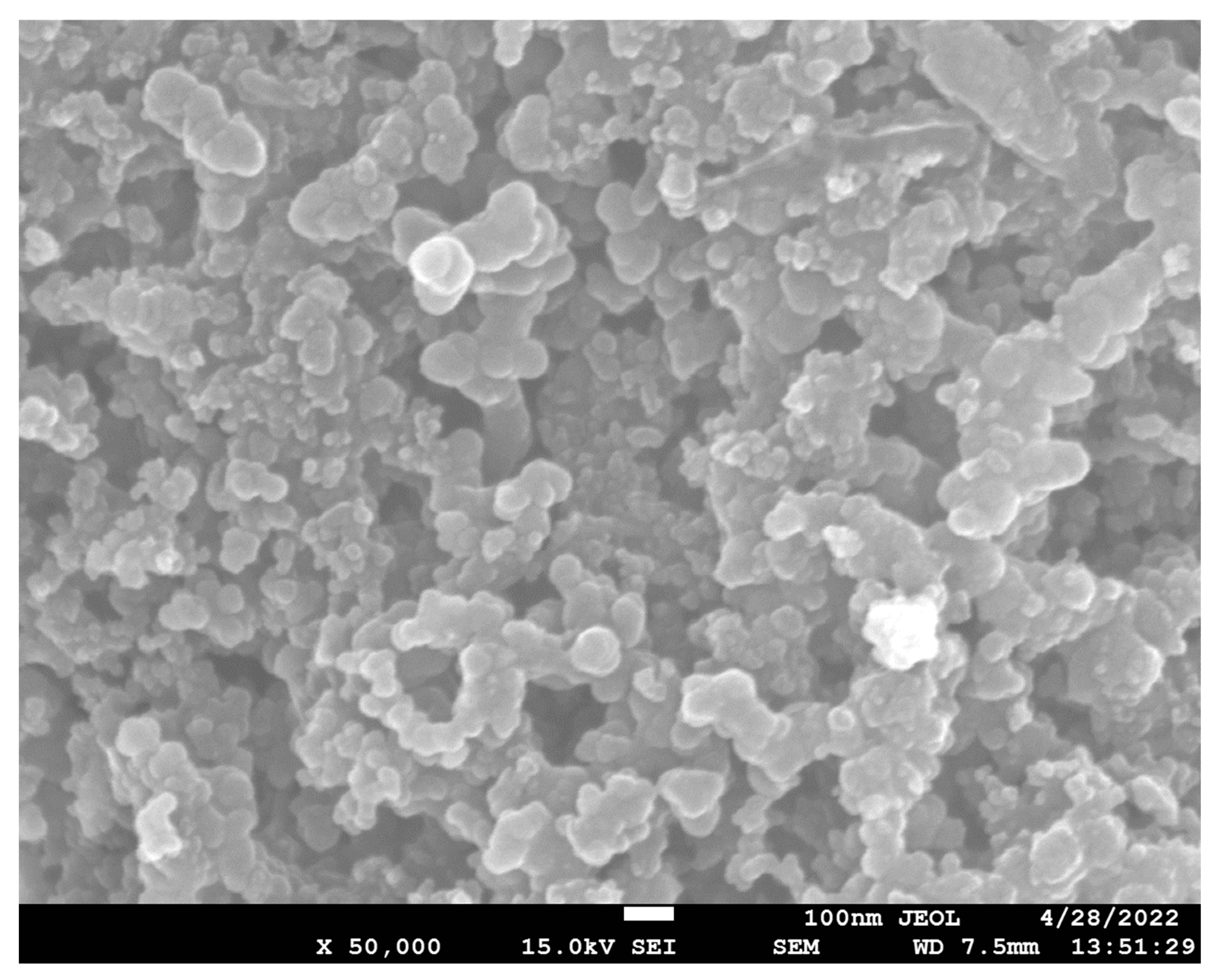 Catalysts 13 00744 g001