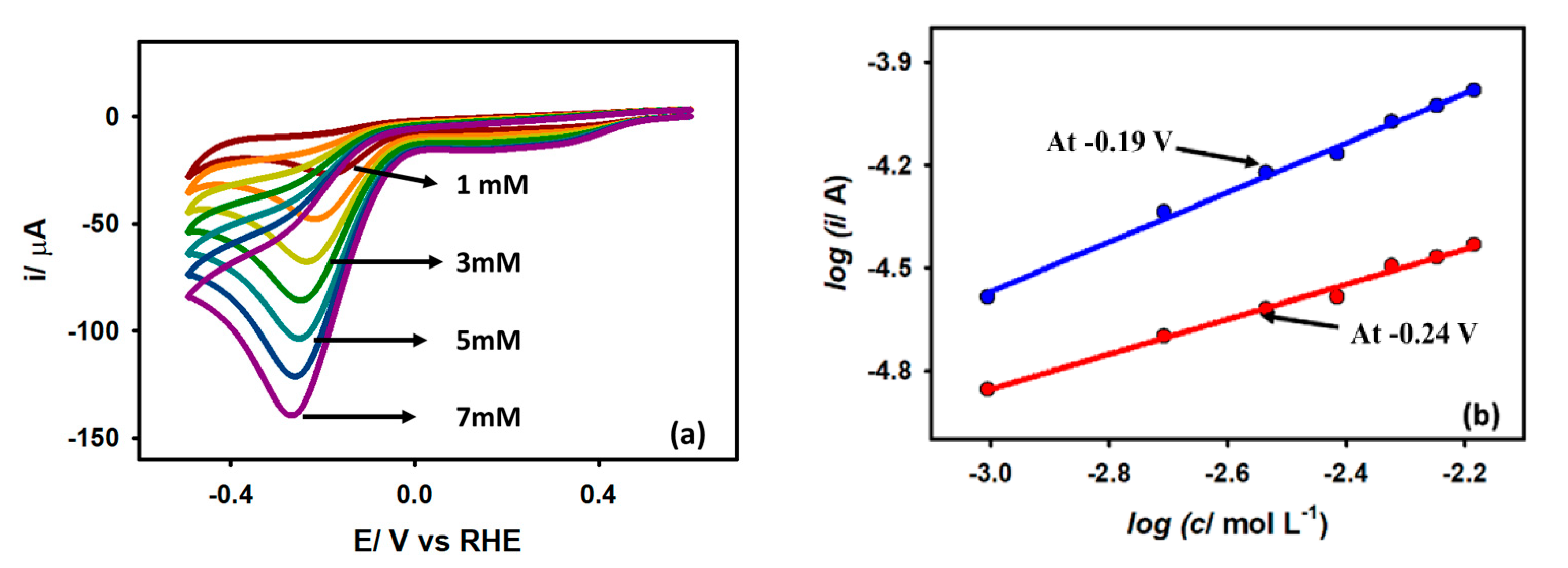 Catalysts 13 00744 g006