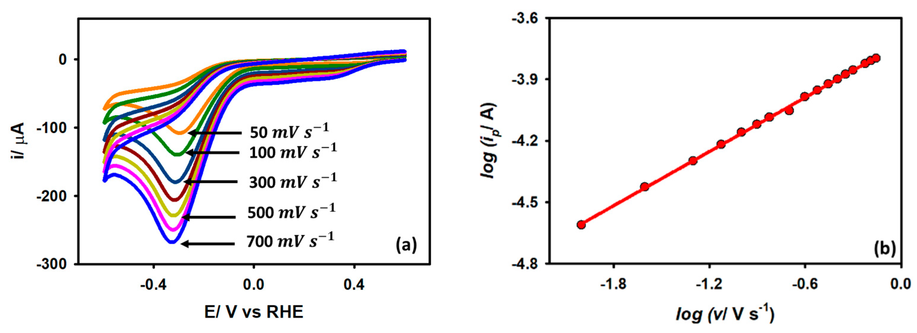 Catalysts 13 00744 g007