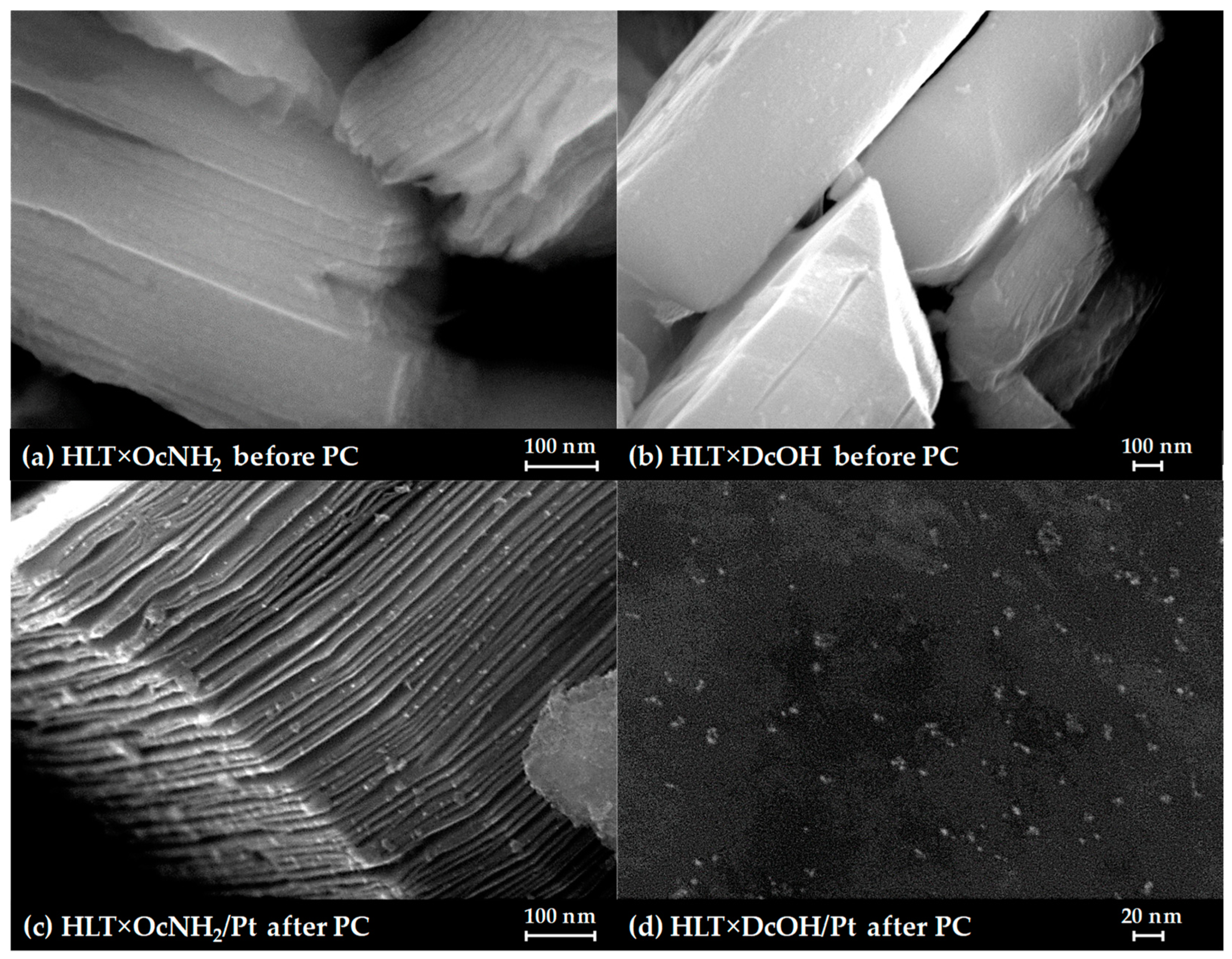 Catalysts 13 00749 g007 Catalysts 13 00749 g007