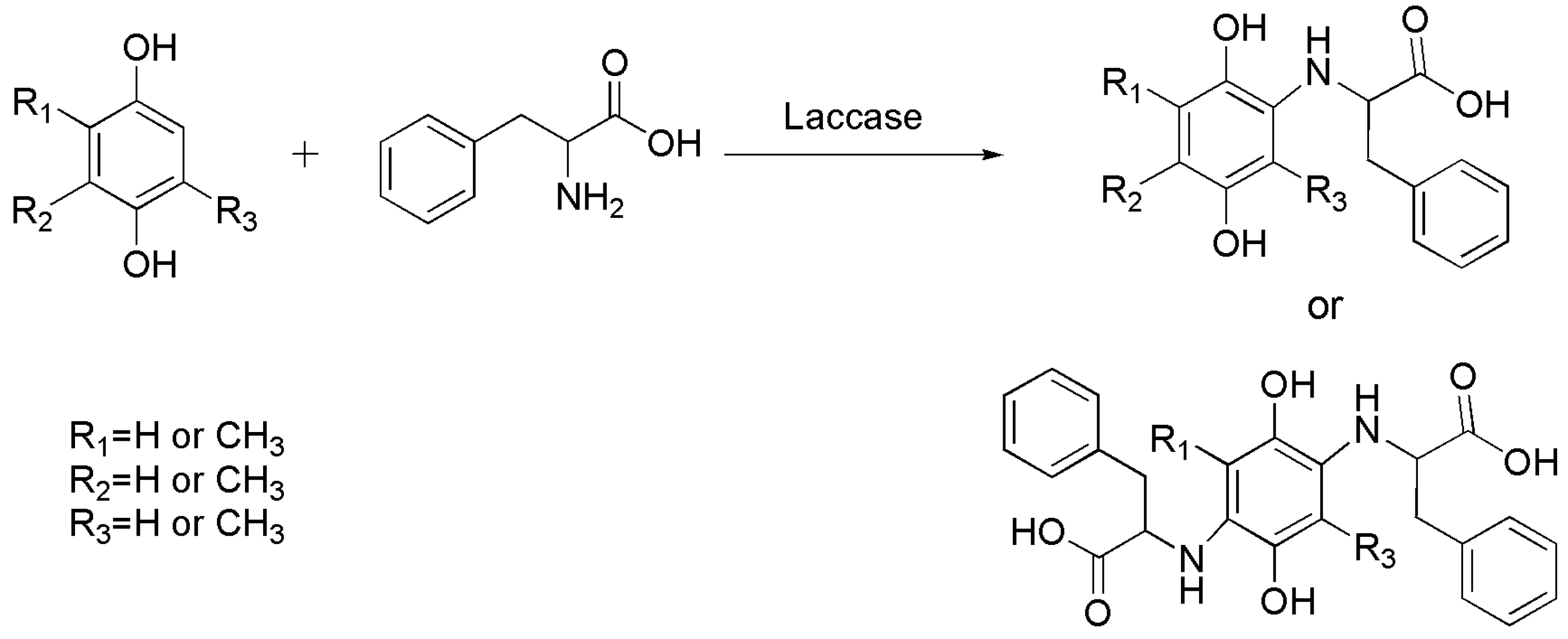 Catalysts 13 00750 sch008 Catalysts 13 00750 sch008