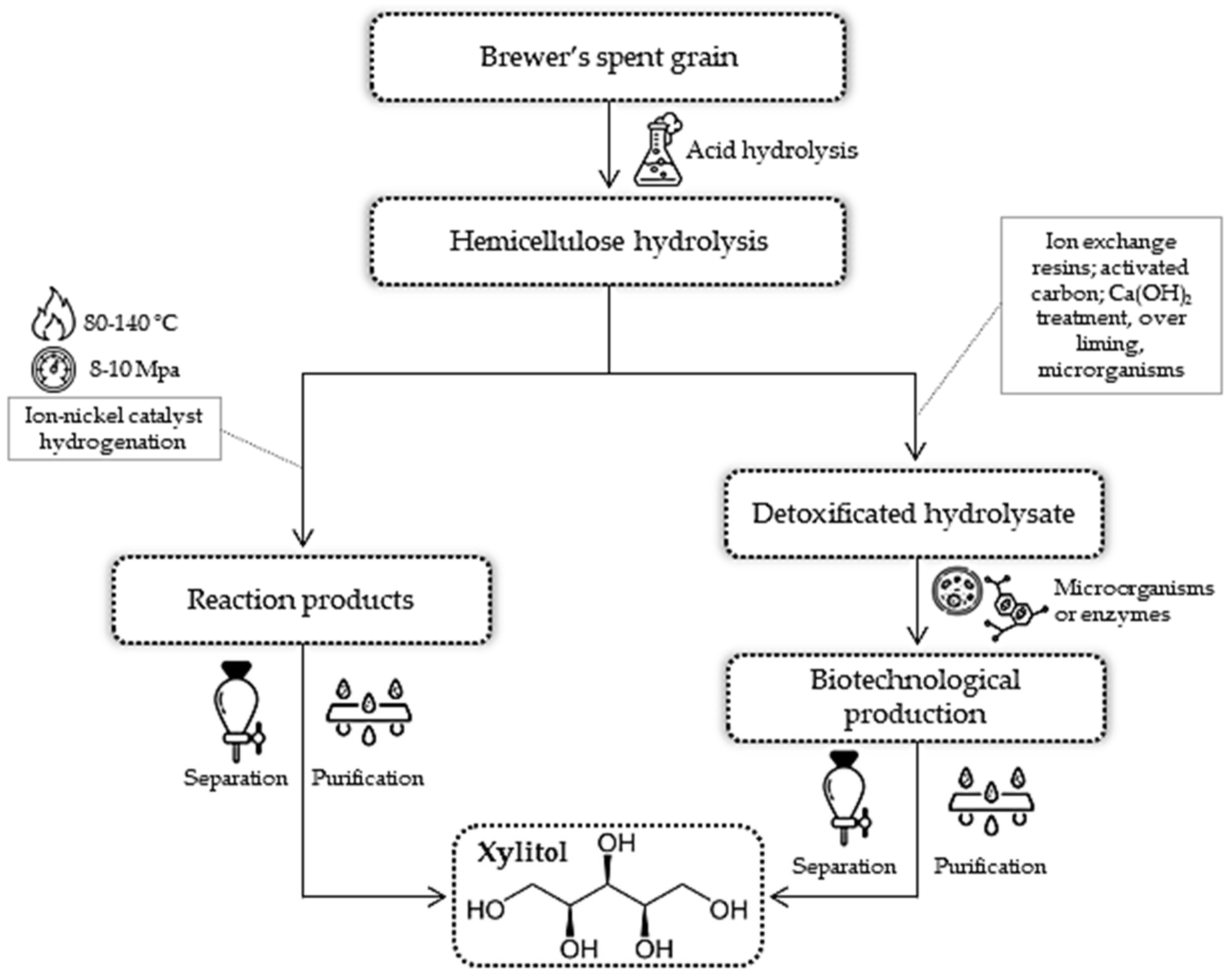 Catalysts 13 00755 g004