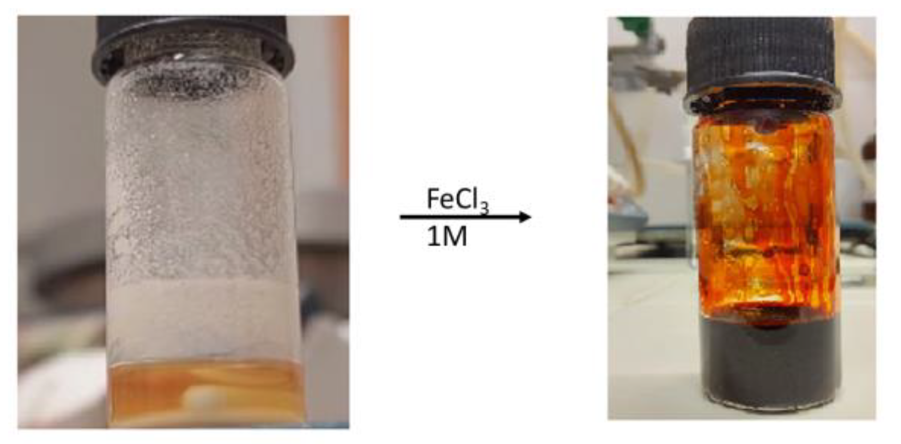 Catalysts 13 00760 g001 Catalysts 13 00760 g001