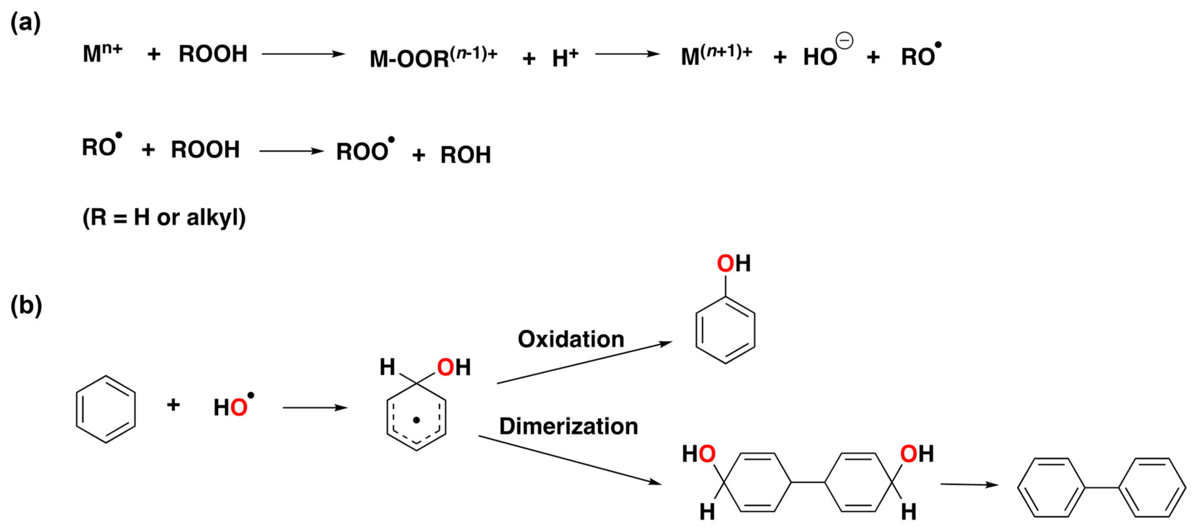 Catalysts 13 00773 g002