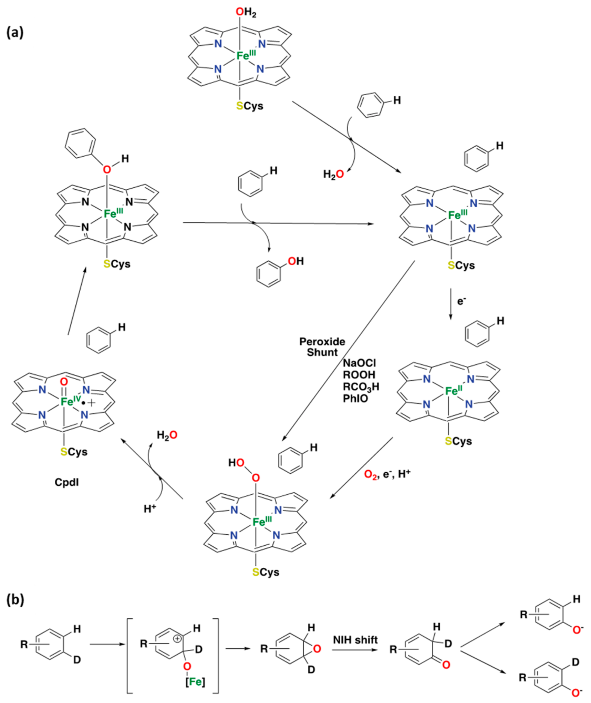 Catalysts 13 00773 g004